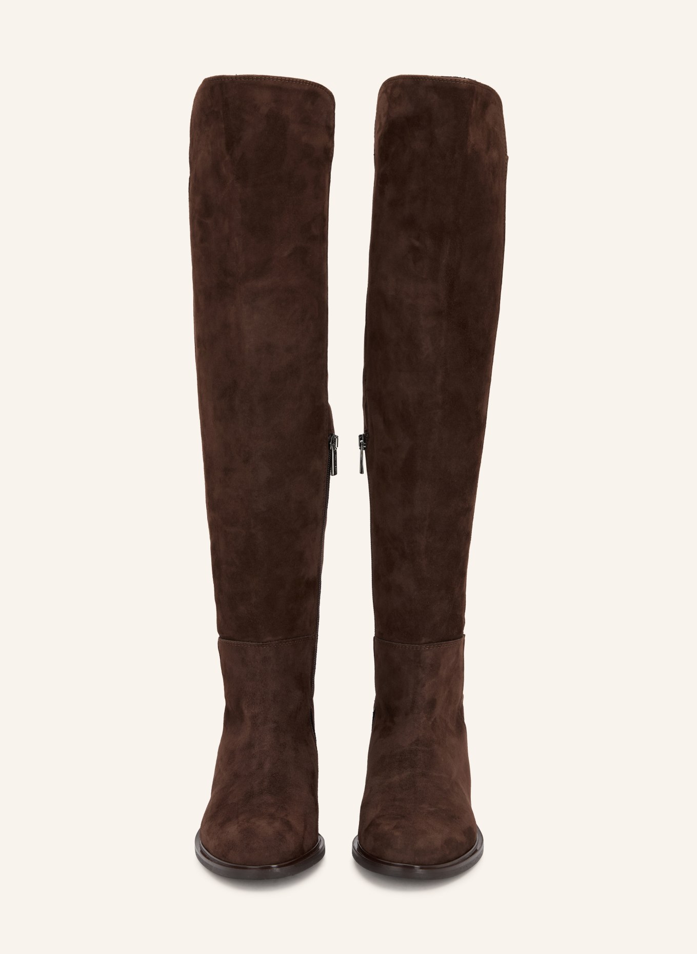 darling harbour Overknee boots: DARK BROWN / SILVER