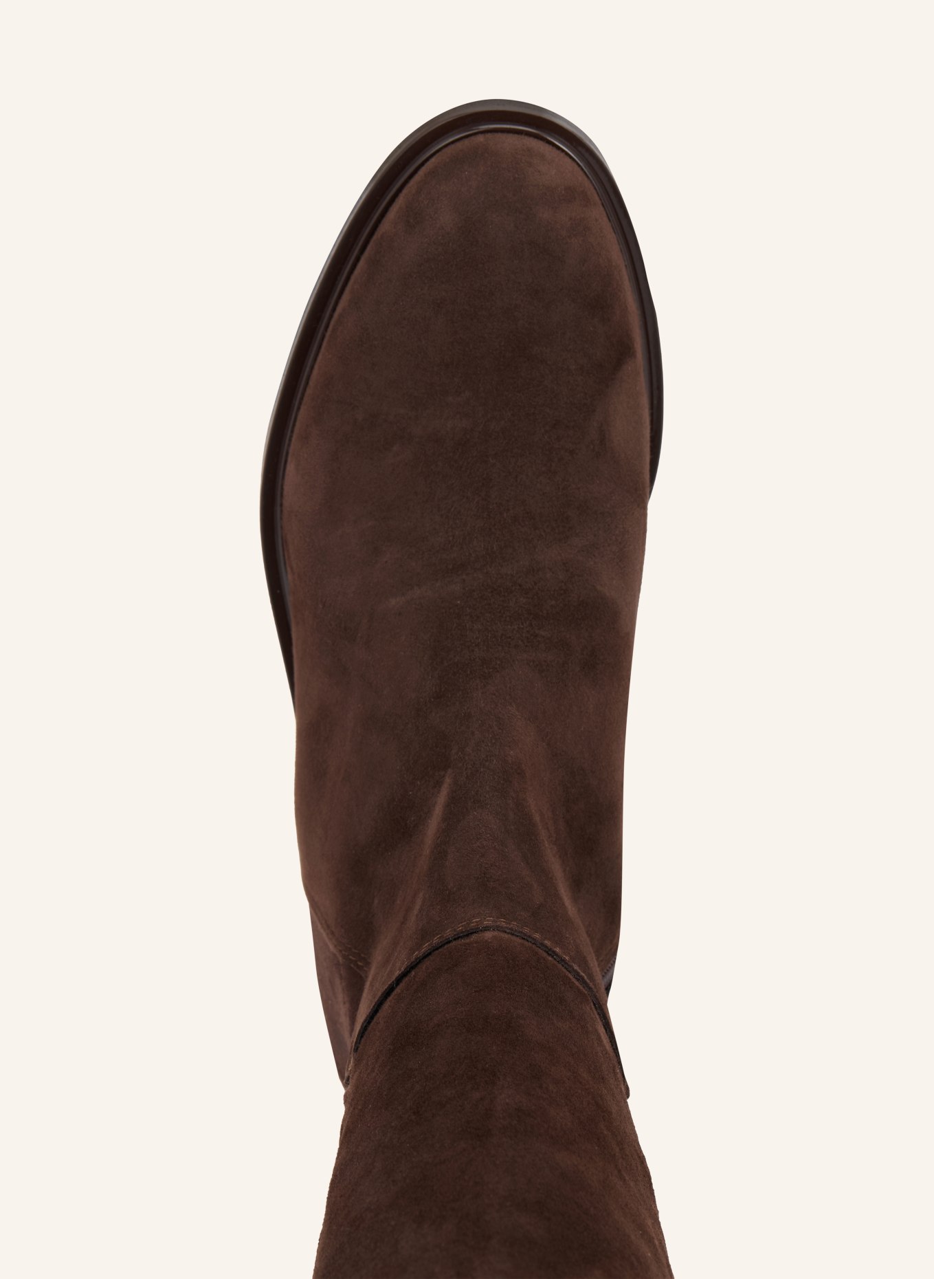 darling harbour Overknee boots: DARK BROWN / SILVER