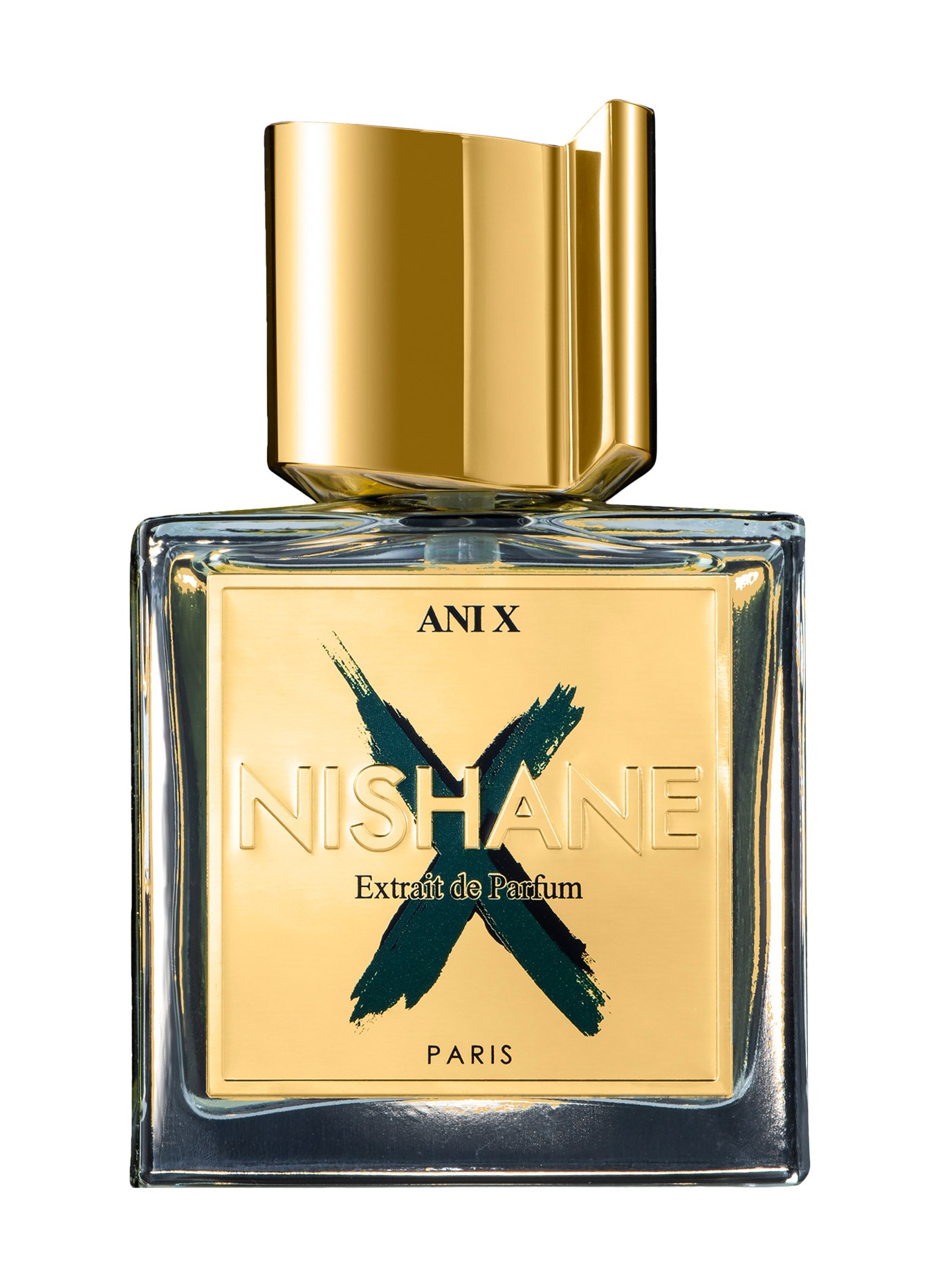 NISHANE ANI X