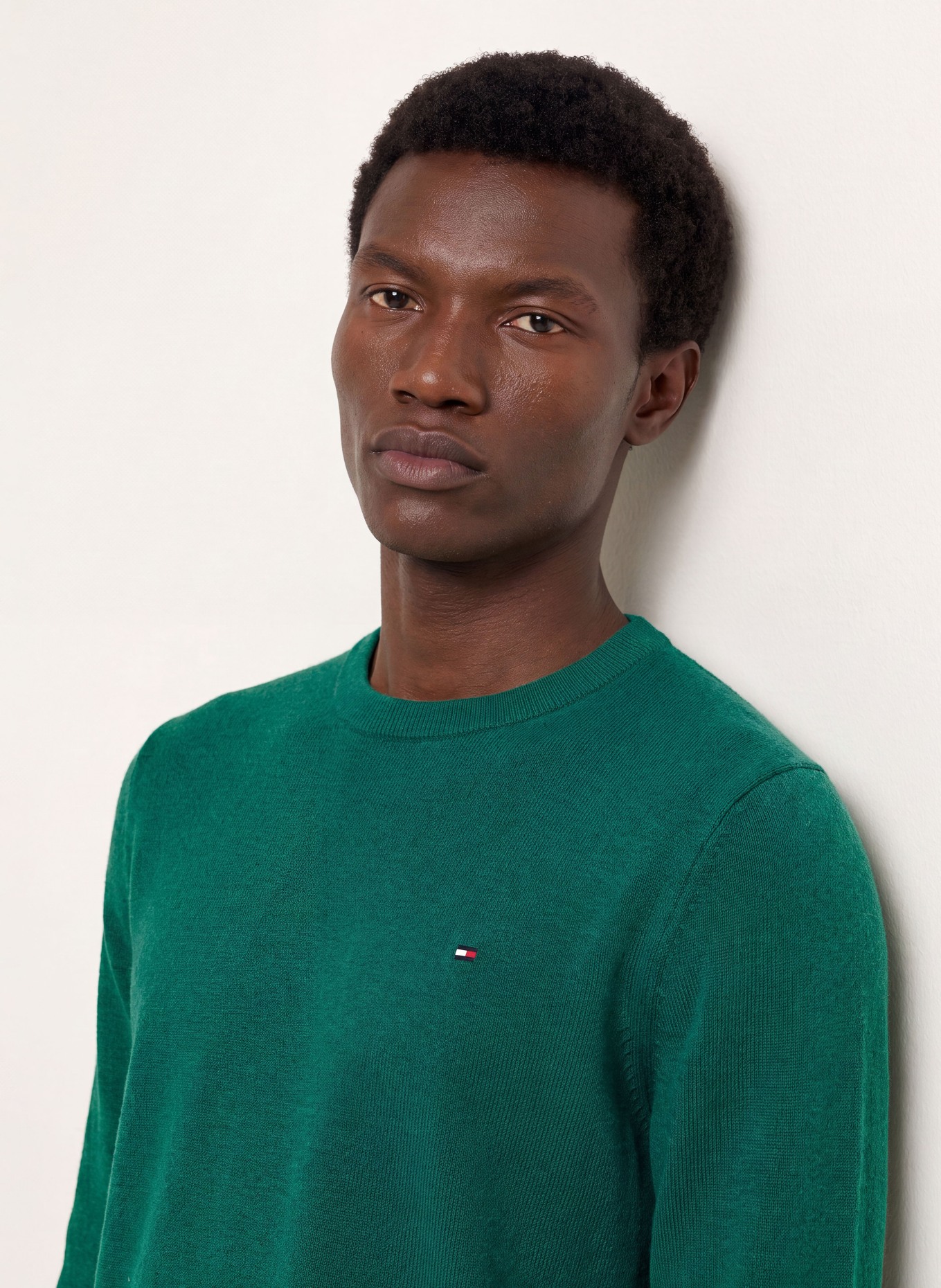 TOMMY HILFIGER Pullover: GRÜN