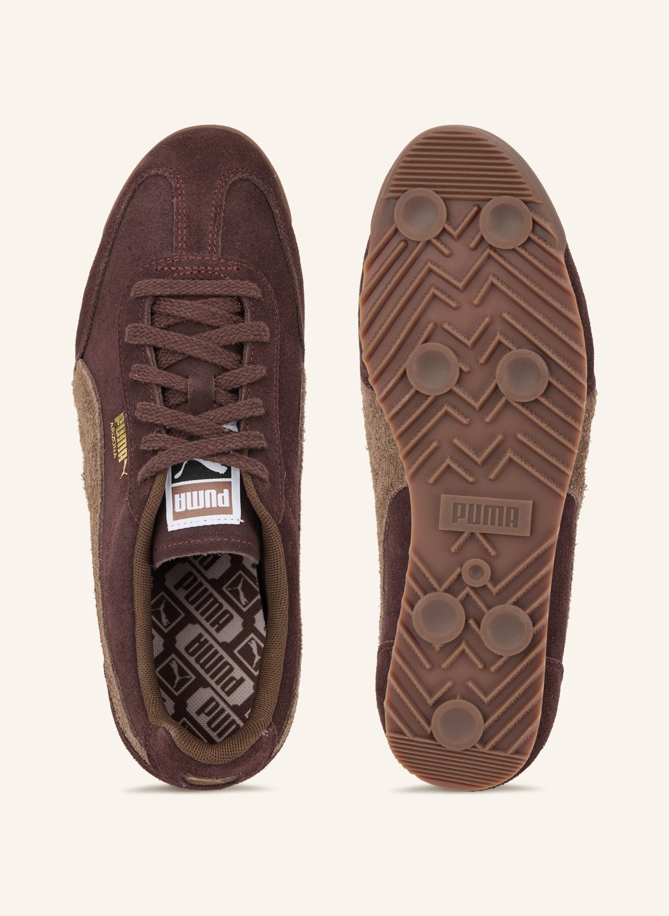 PUMA Sneaker ARIZONA SD: DARK BROWN / BROWN