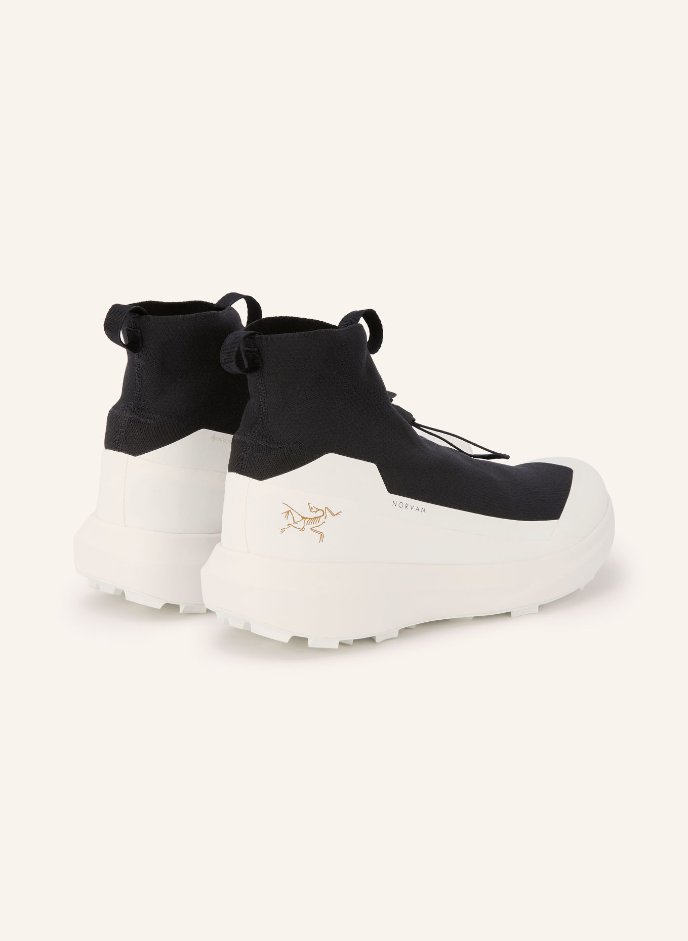 ARC'TERYX NORVAN 4 NIVALIS GTX Trail running shoes: BLACK / WHITE