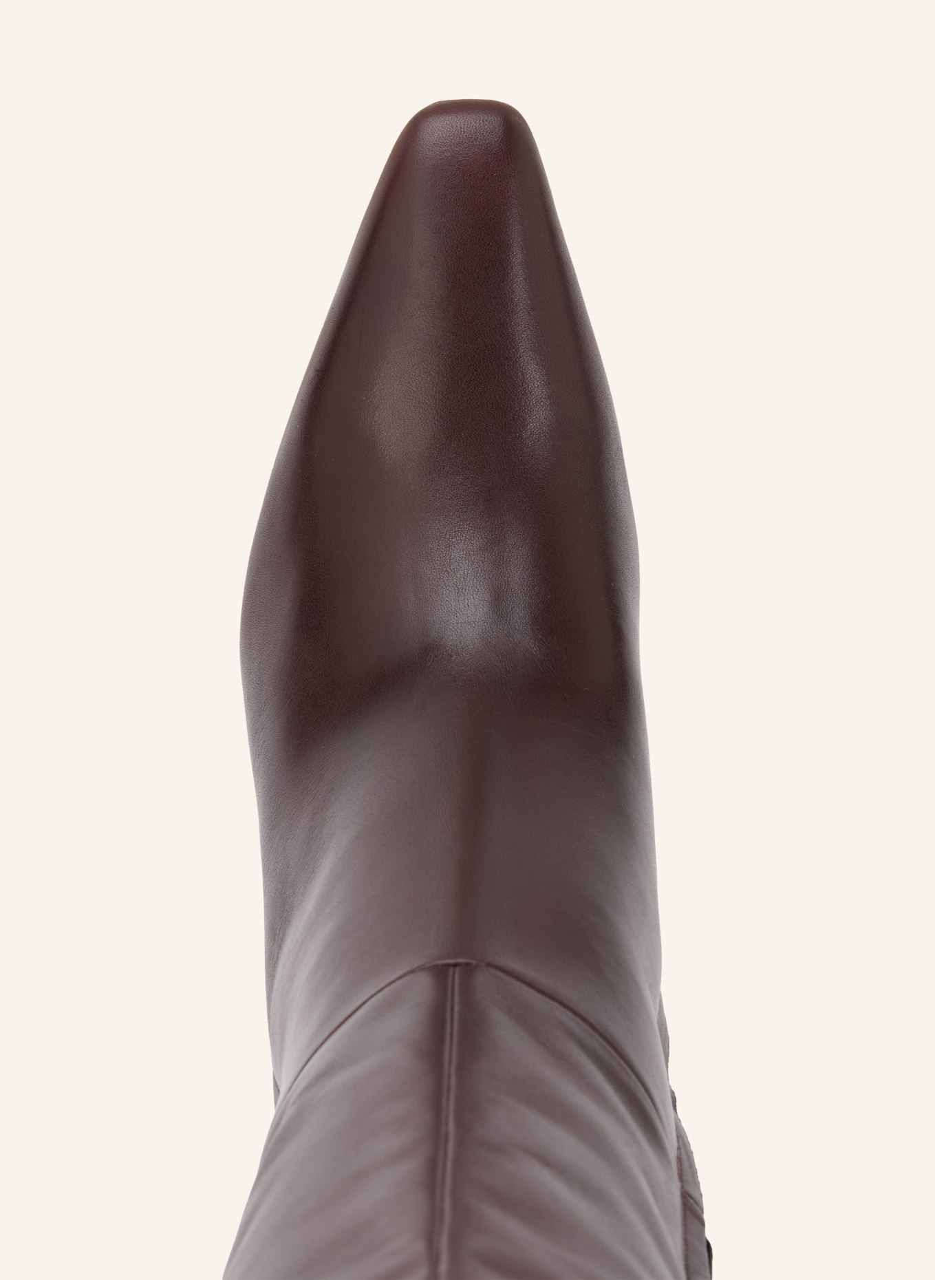 Sam Edelman Buty SYLVIA: CIEMNOBRĄZOWY