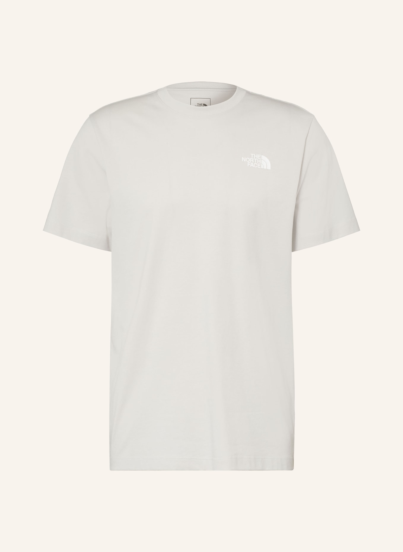 THE NORTH FACE T-shirt EVOLUTION BOX: GRIS CLAIR