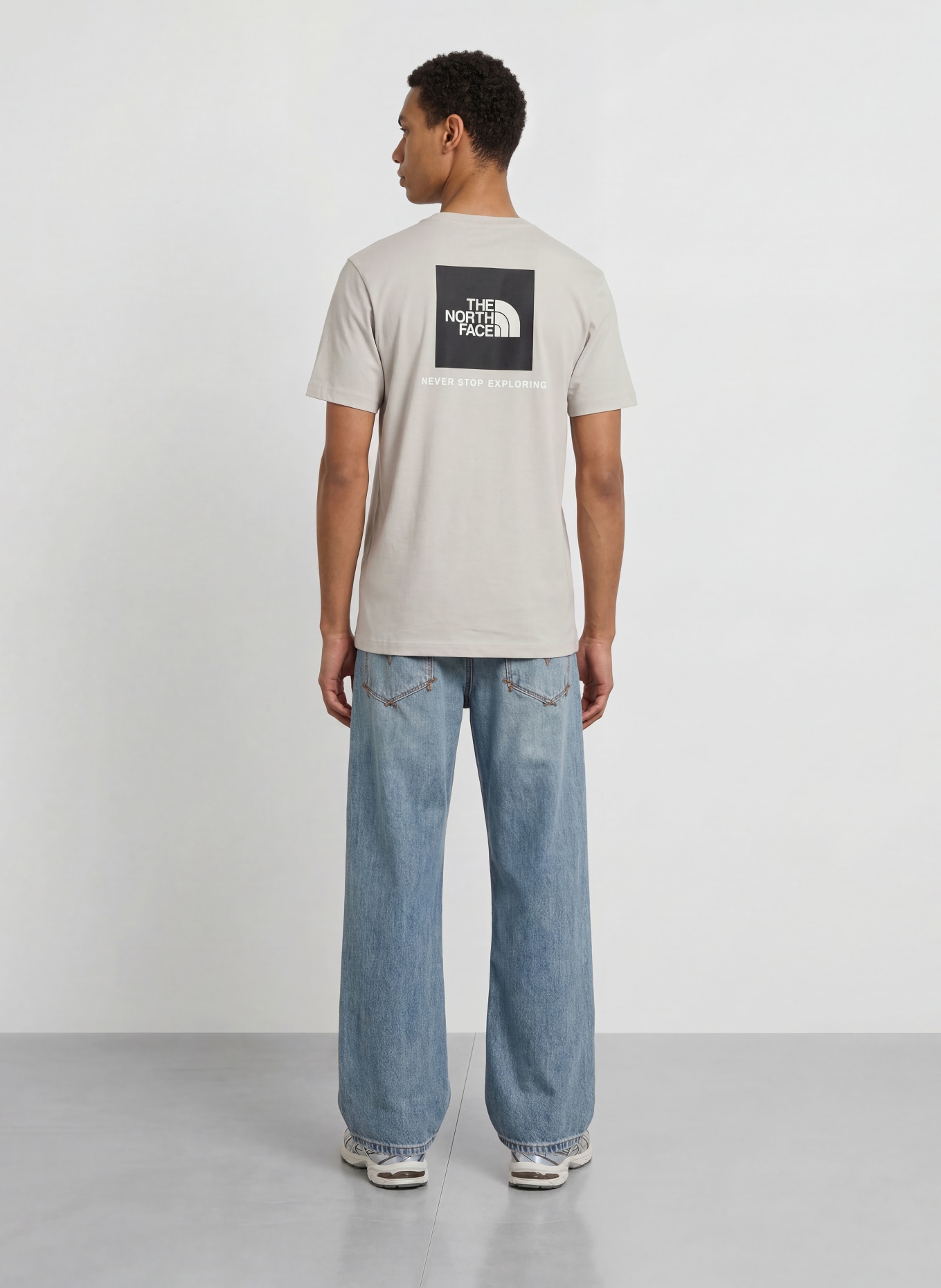 THE NORTH FACE T-shirt EVOLUTION BOX: GRIS CLAIR