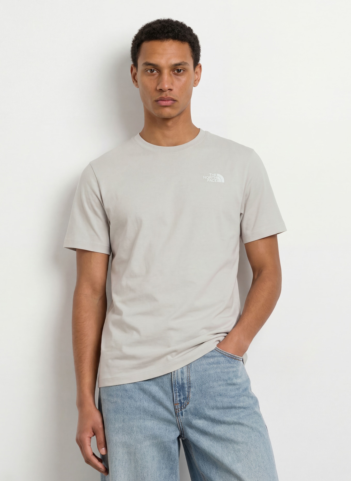 THE NORTH FACE T-shirt EVOLUTION BOX: GRIS CLAIR