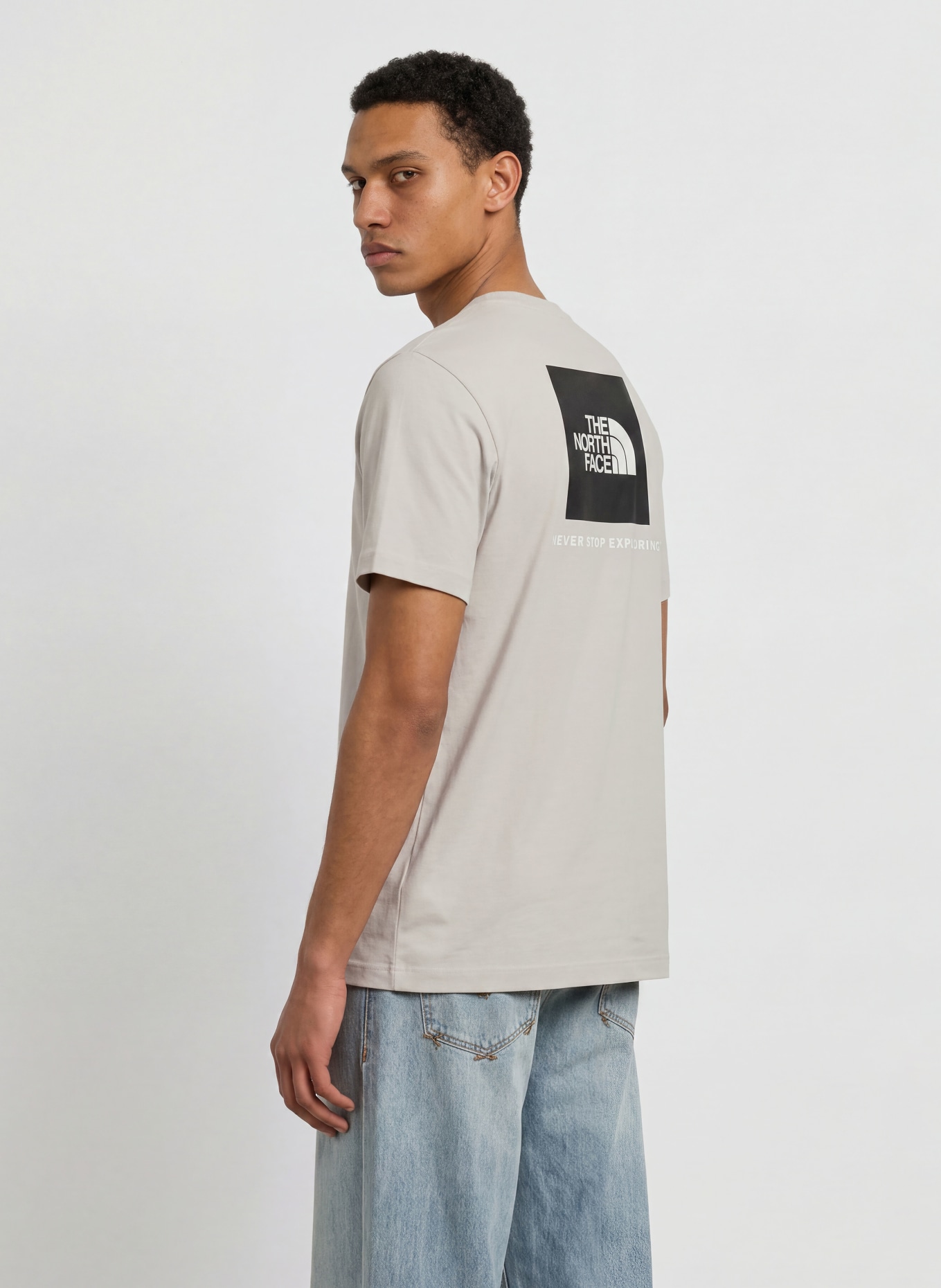 THE NORTH FACE T-shirt EVOLUTION BOX: GRIS CLAIR