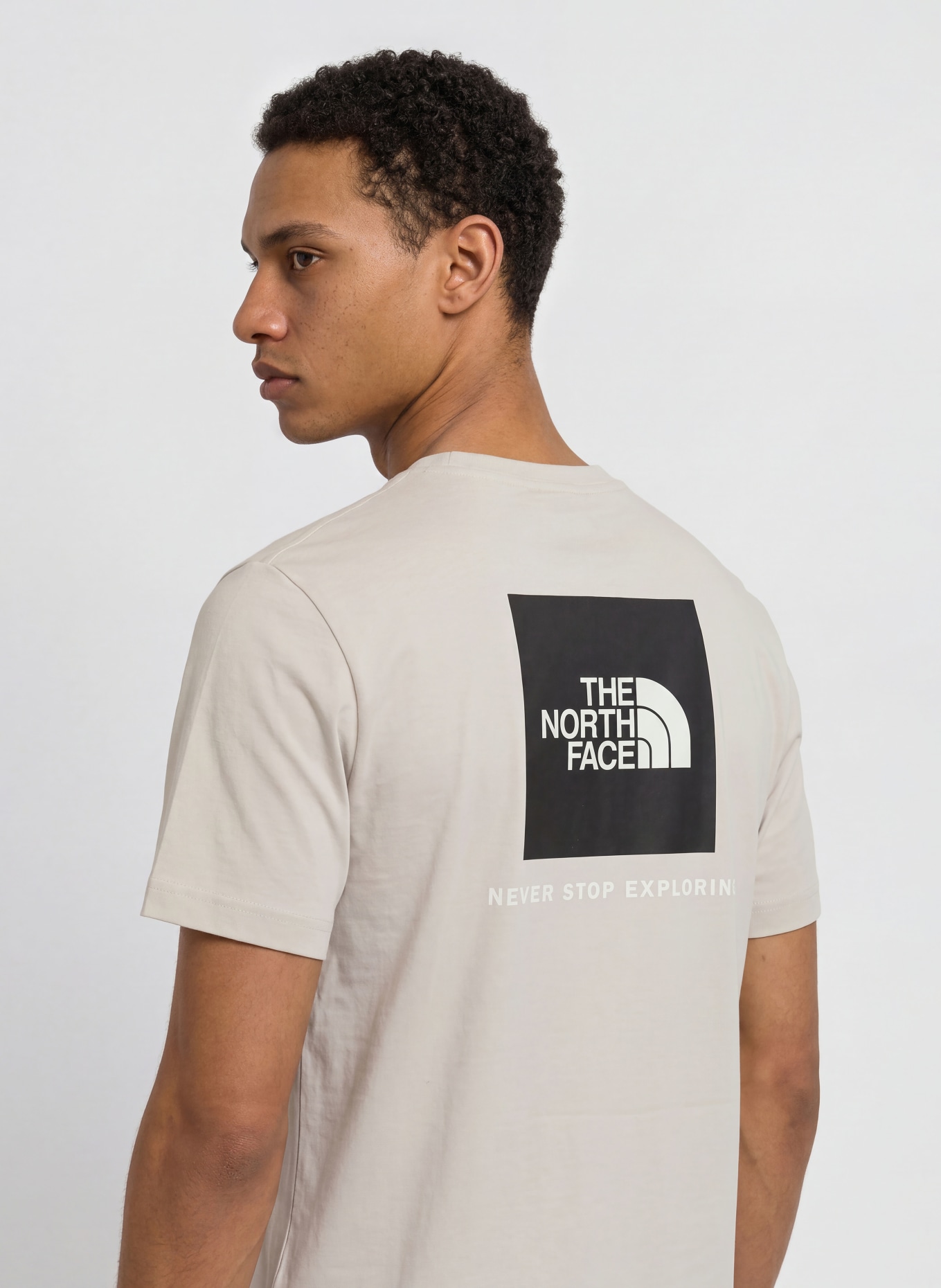 THE NORTH FACE T-shirt EVOLUTION BOX: GRIS CLAIR