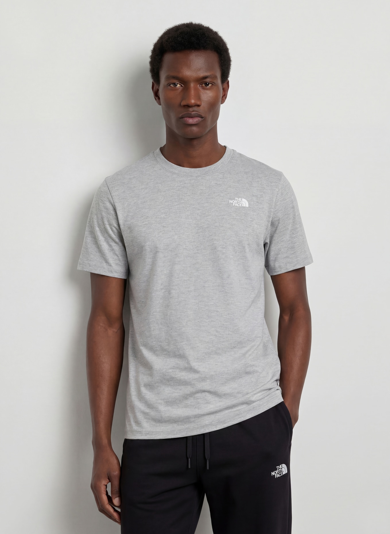 THE NORTH FACE T-Shirt EVOLUTION SIMPLE DOME: HELLGRAU