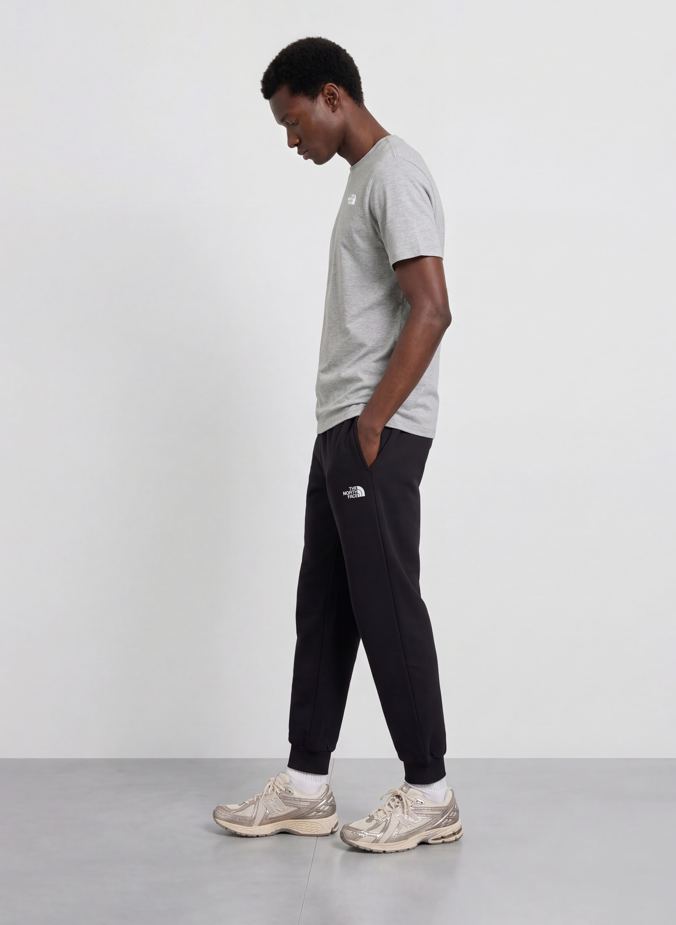 THE NORTH FACE T-Shirt EVOLUTION SIMPLE DOME: HELLGRAU
