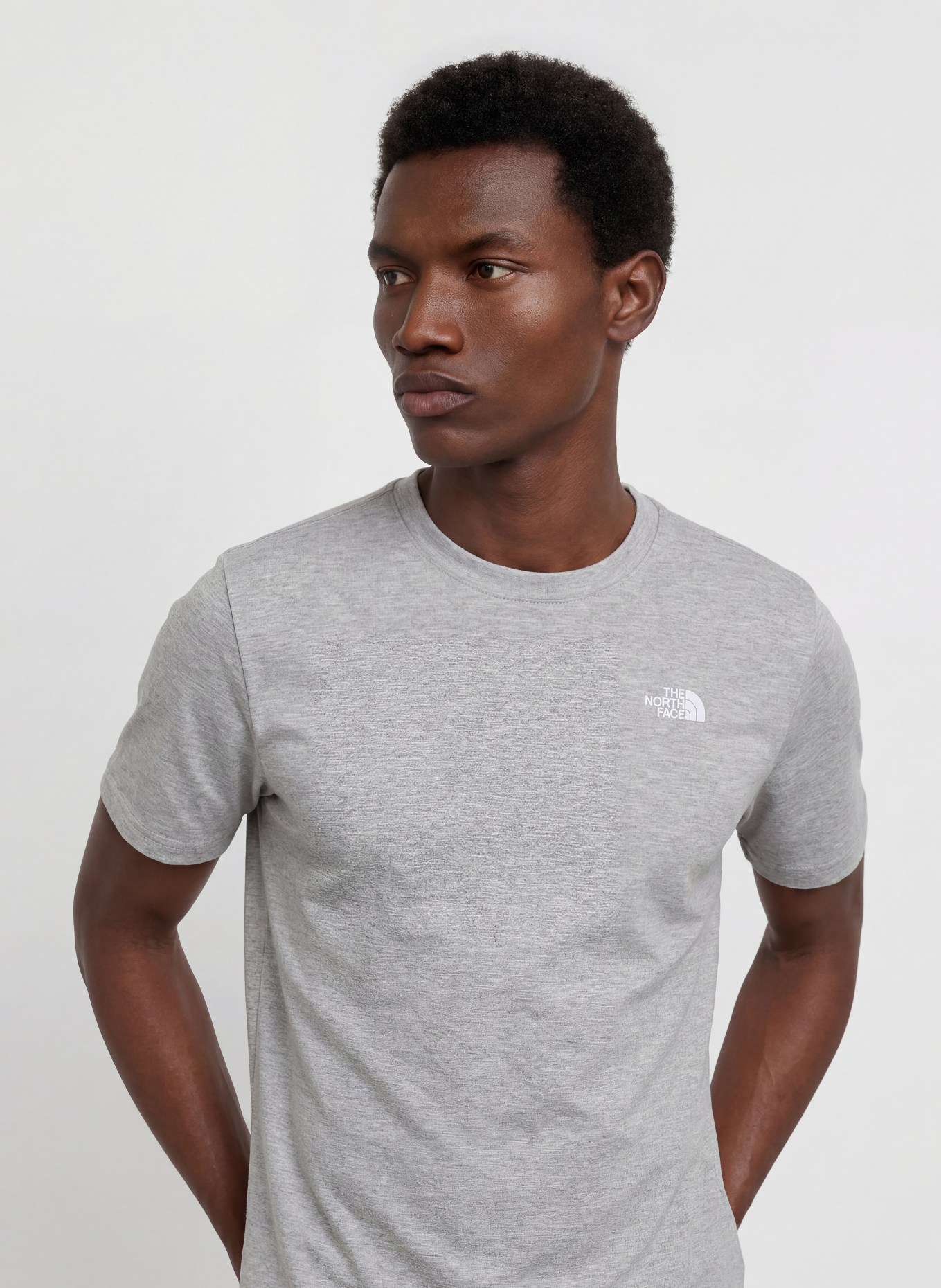 THE NORTH FACE T-Shirt EVOLUTION SIMPLE DOME: HELLGRAU