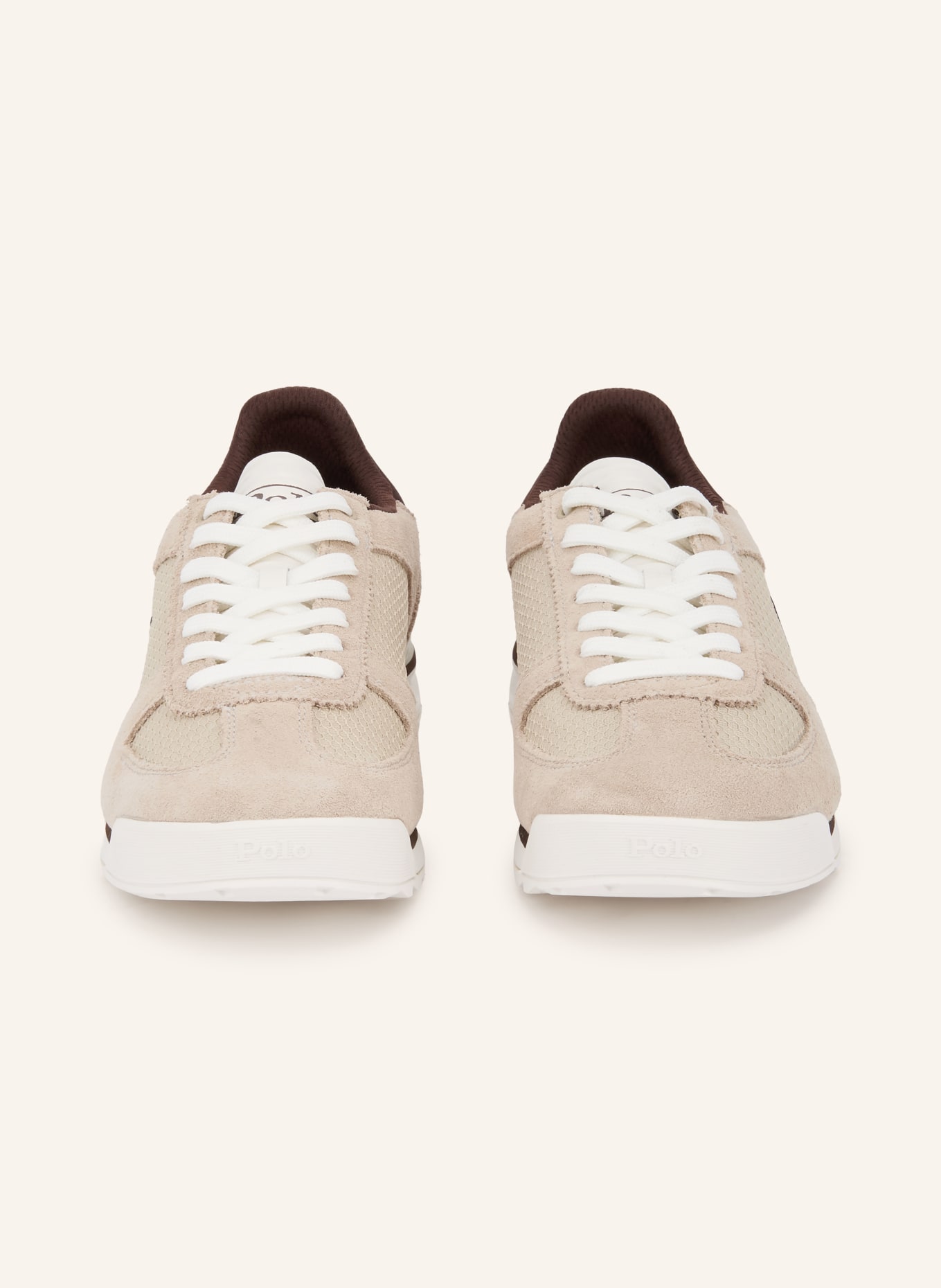 POLO RALPH LAUREN baskets: BEIGE / MARRON FONCÉ / BLANC