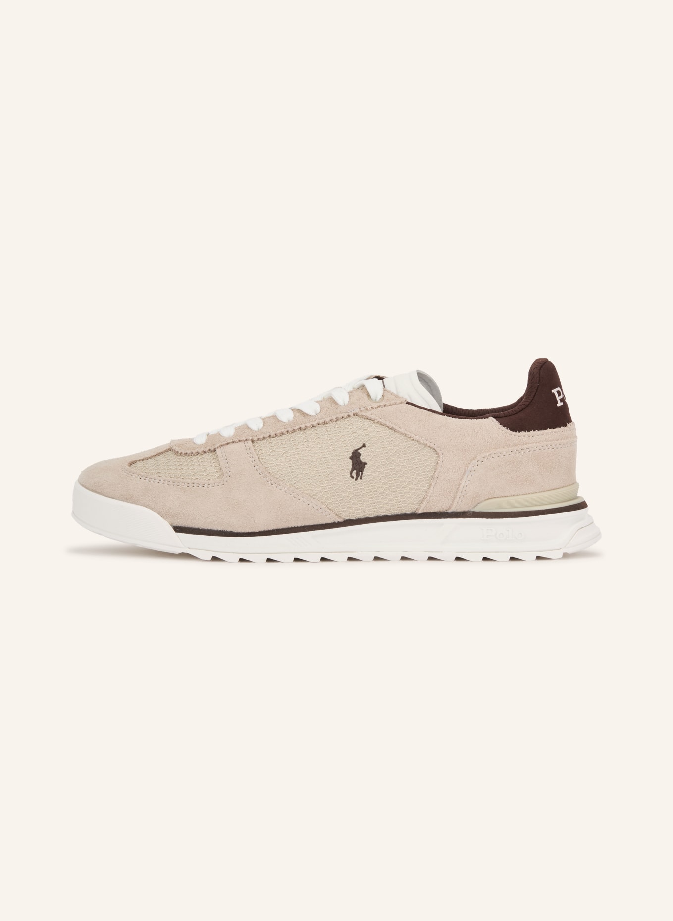 POLO RALPH LAUREN baskets: BEIGE / MARRON FONCÉ / BLANC