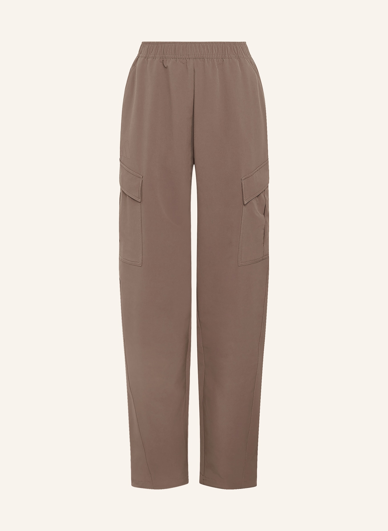 adidas TERREX Trekkinghose XPLORIC CLIMAWARM WINTERIZED: BRAUN