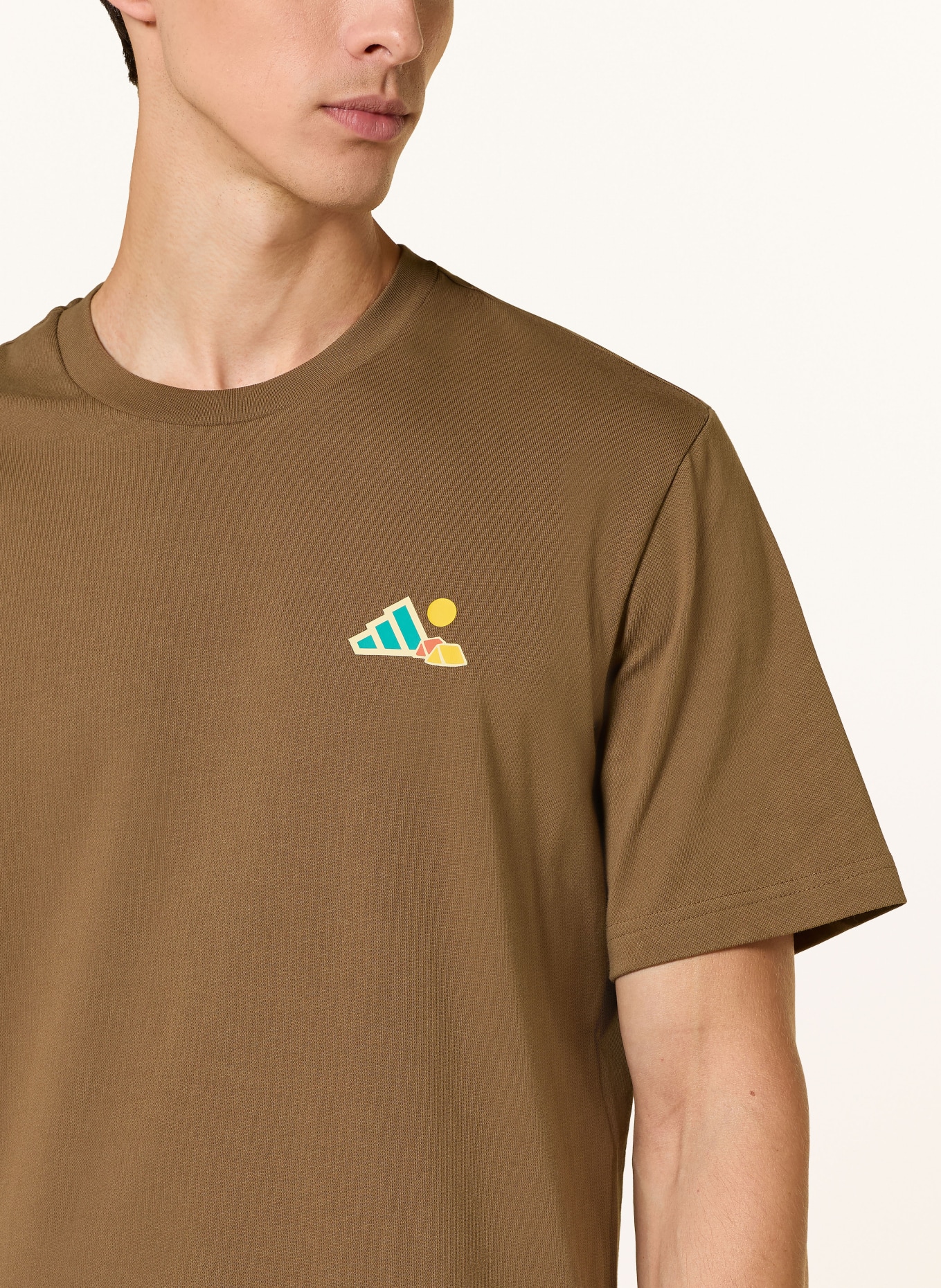 adidas TERREX T-Shirt TERREX CAMPER GRAPHIC: BRAUN / PETROL / SCHWARZ