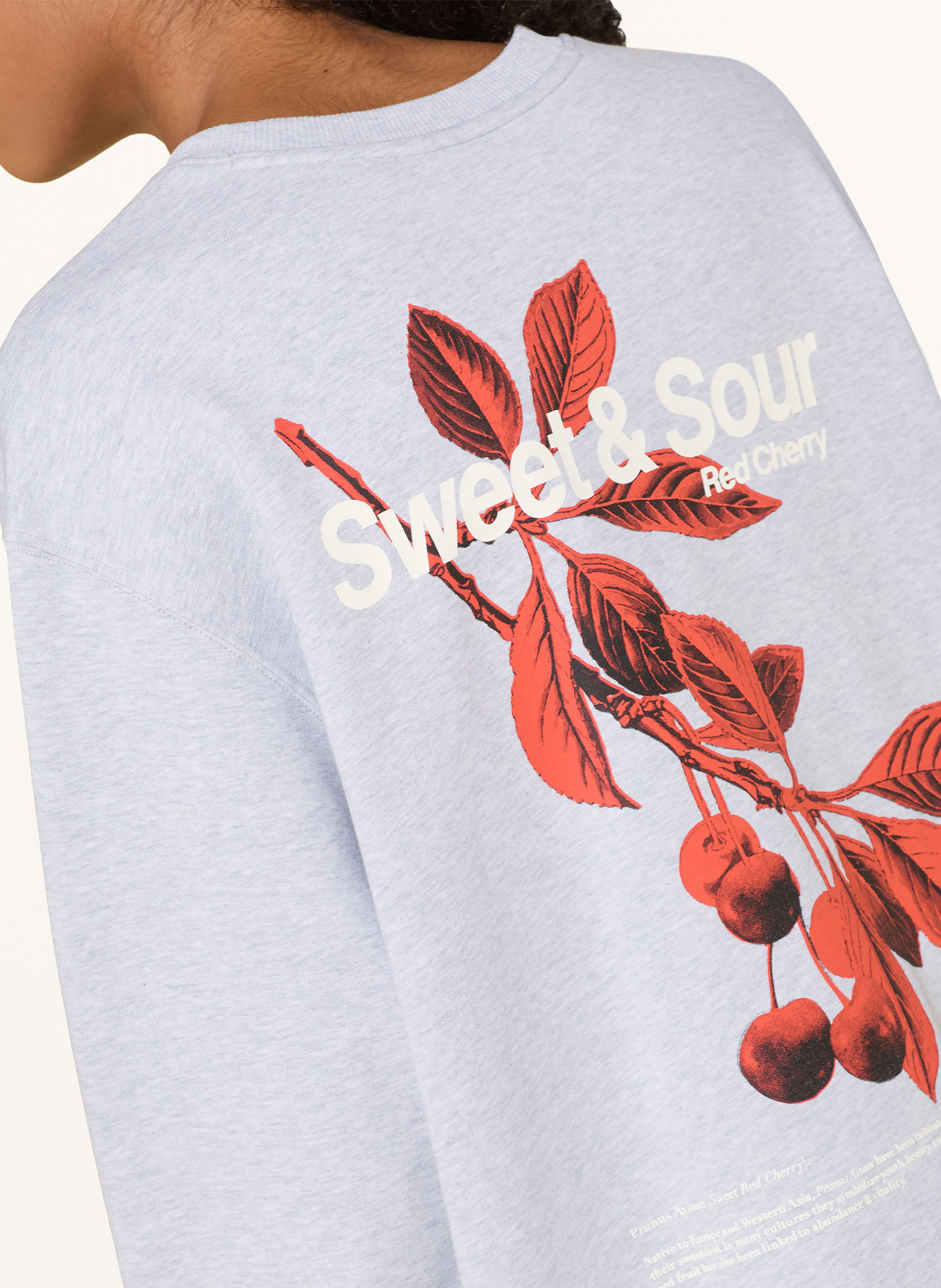 HUGO Sweatshirt CLASSIC: HELLGRAU / ROT / SCHWARZ