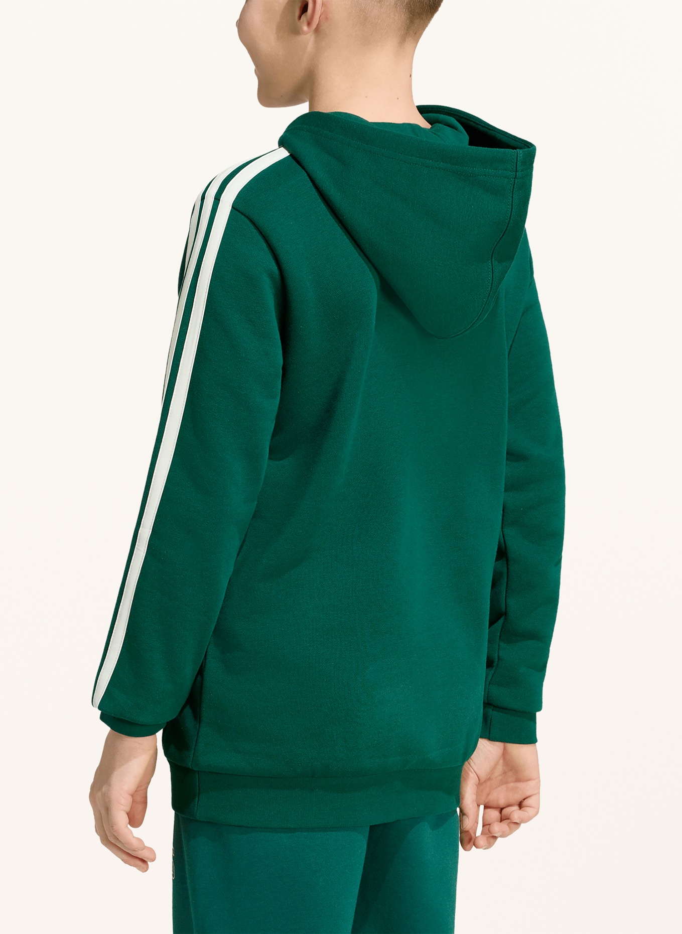 adidas Sweat à capuche CODES COLLEGIATE GRAPHIC: GROEN / BLANC