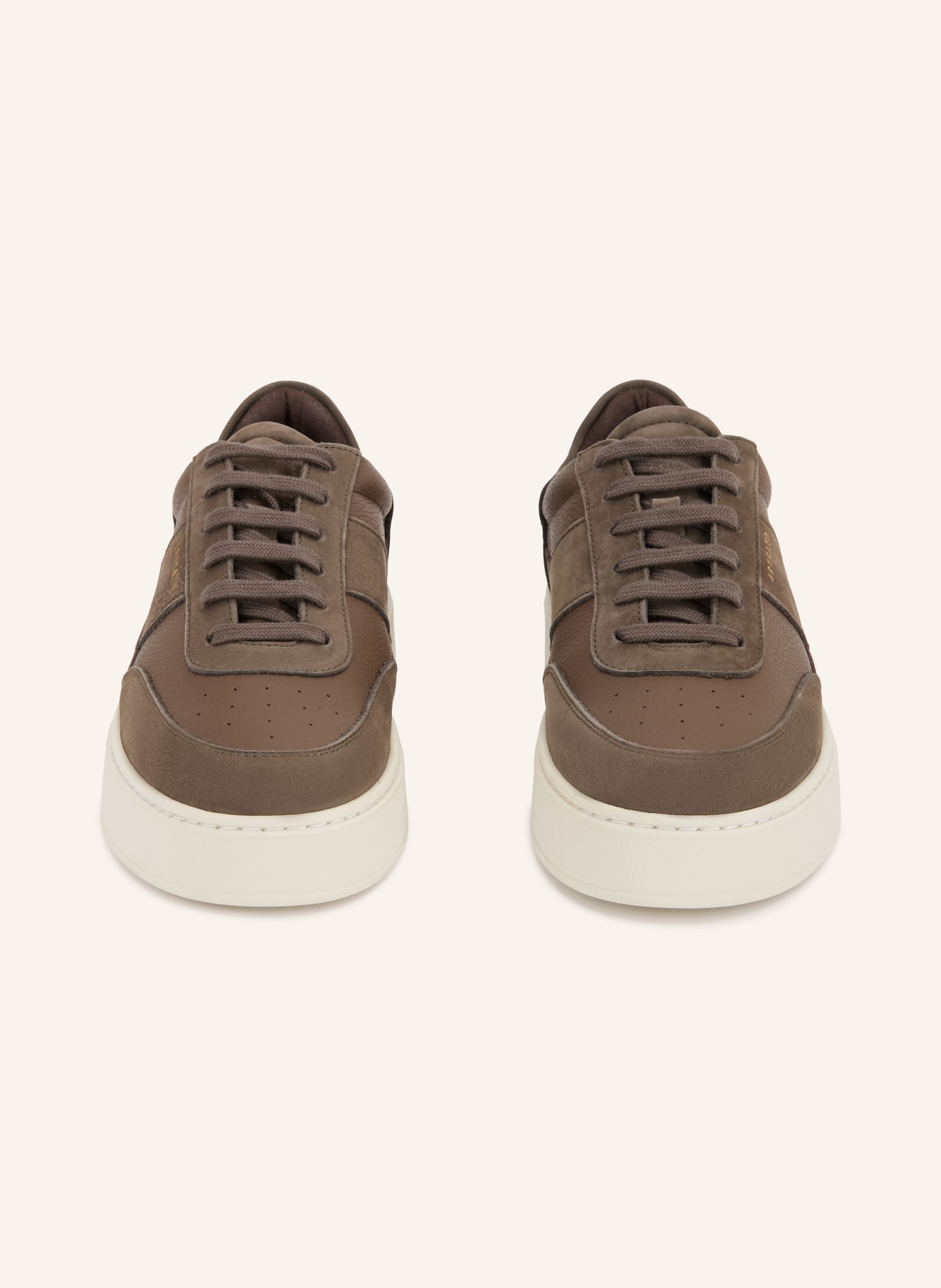 AXEL ARIGATO ORBIT Sneakers: TAUPE / DARK GRAY