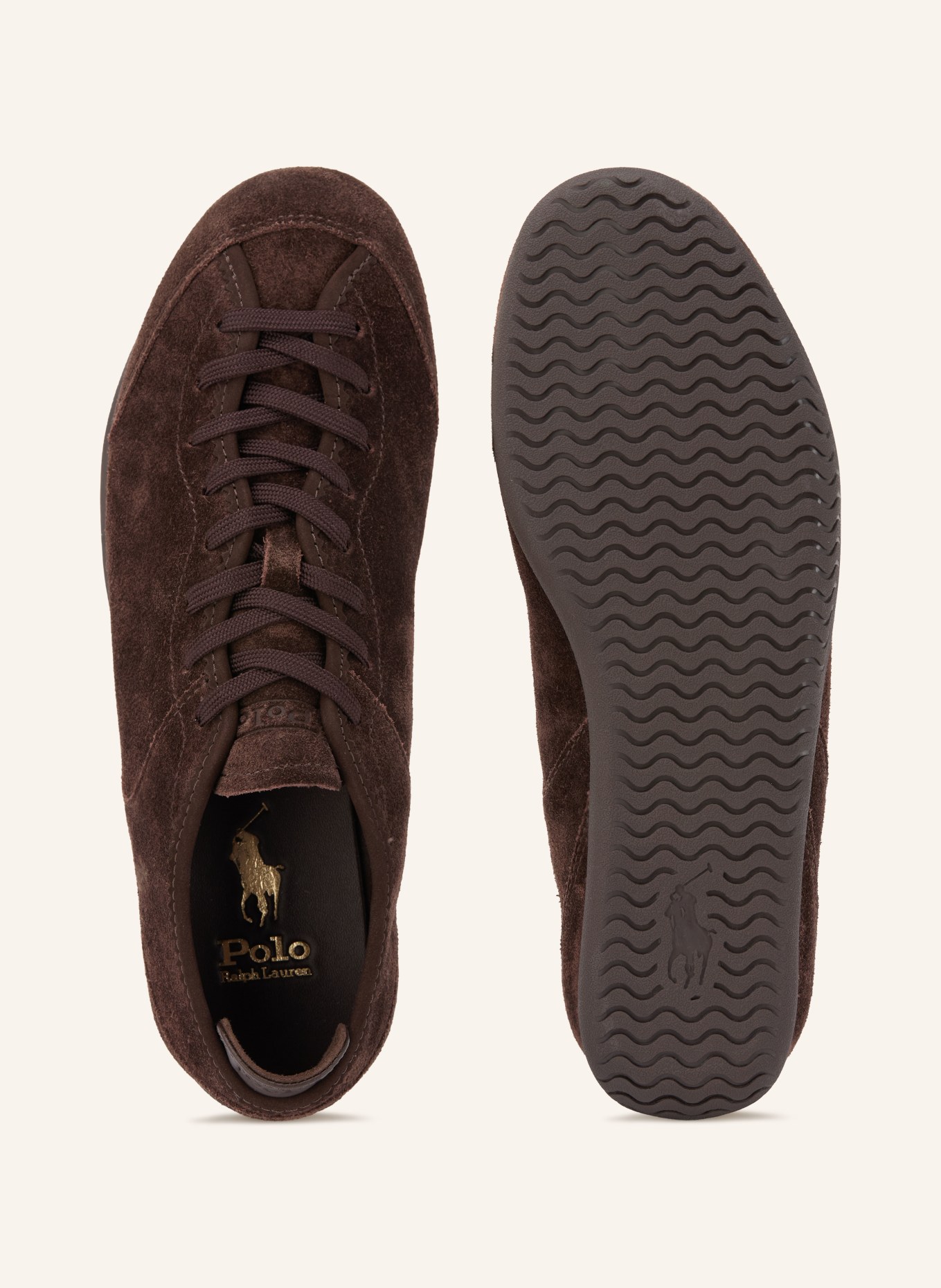 POLO RALPH LAUREN Sneaker: DUNKELBRAUN