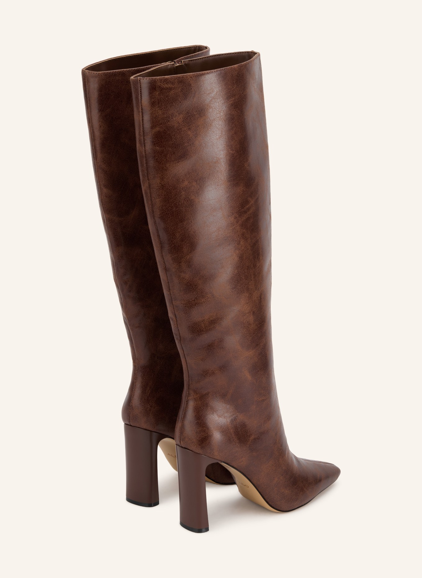 ALDO Stiefel ELYNE: BRAUN
