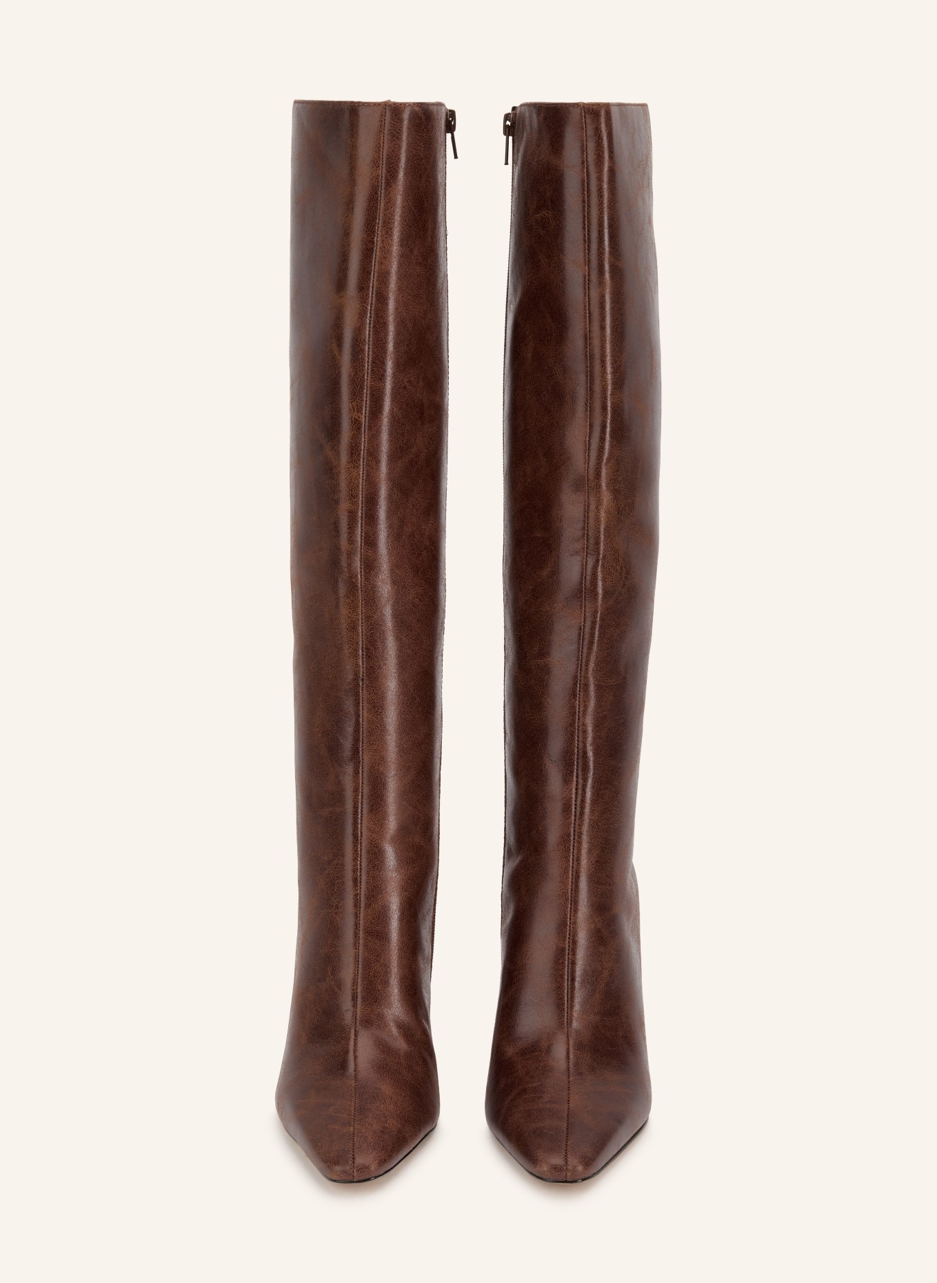 ALDO Stiefel ELYNE: BRAUN