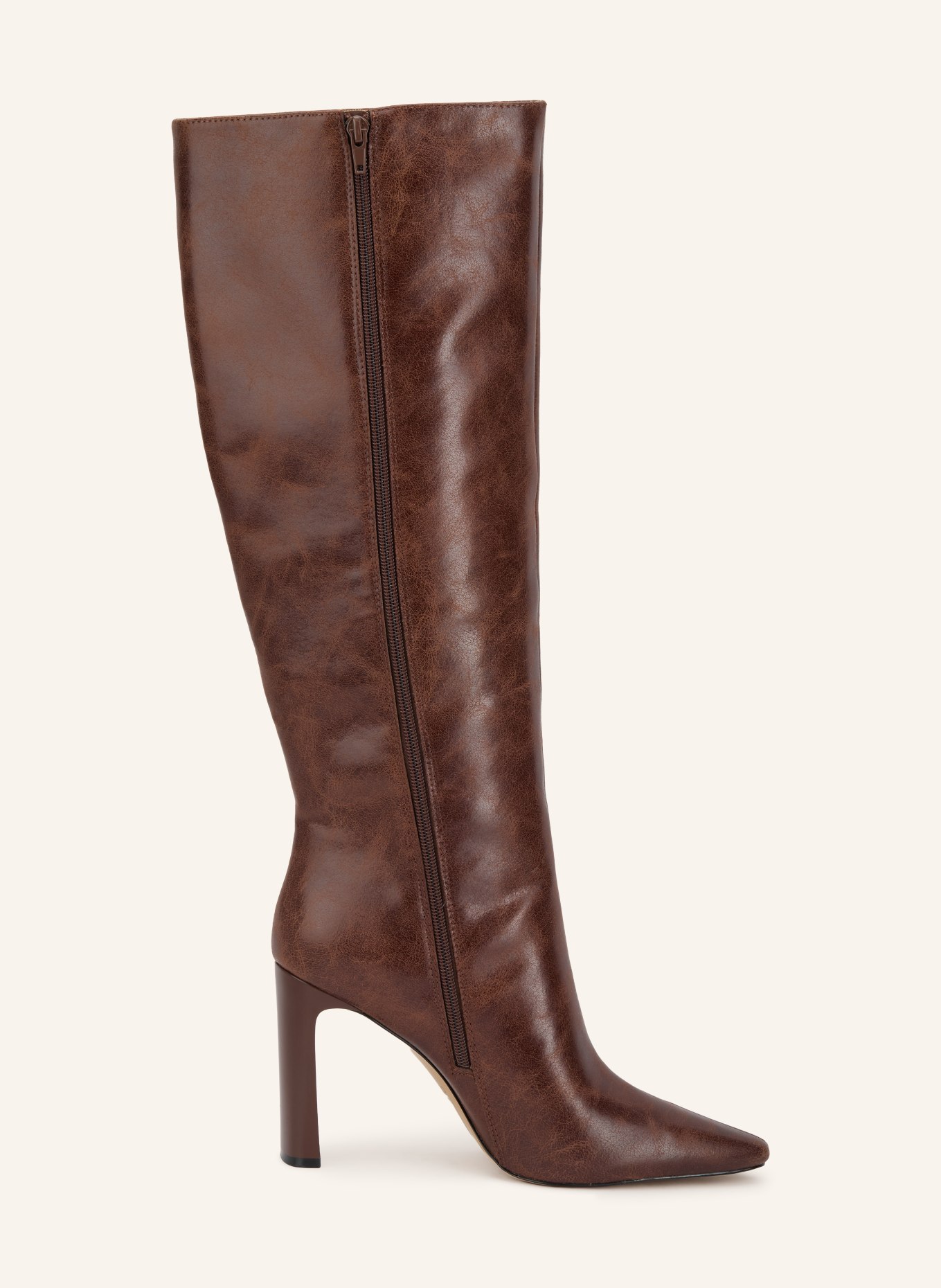 ALDO Stiefel ELYNE: BRAUN