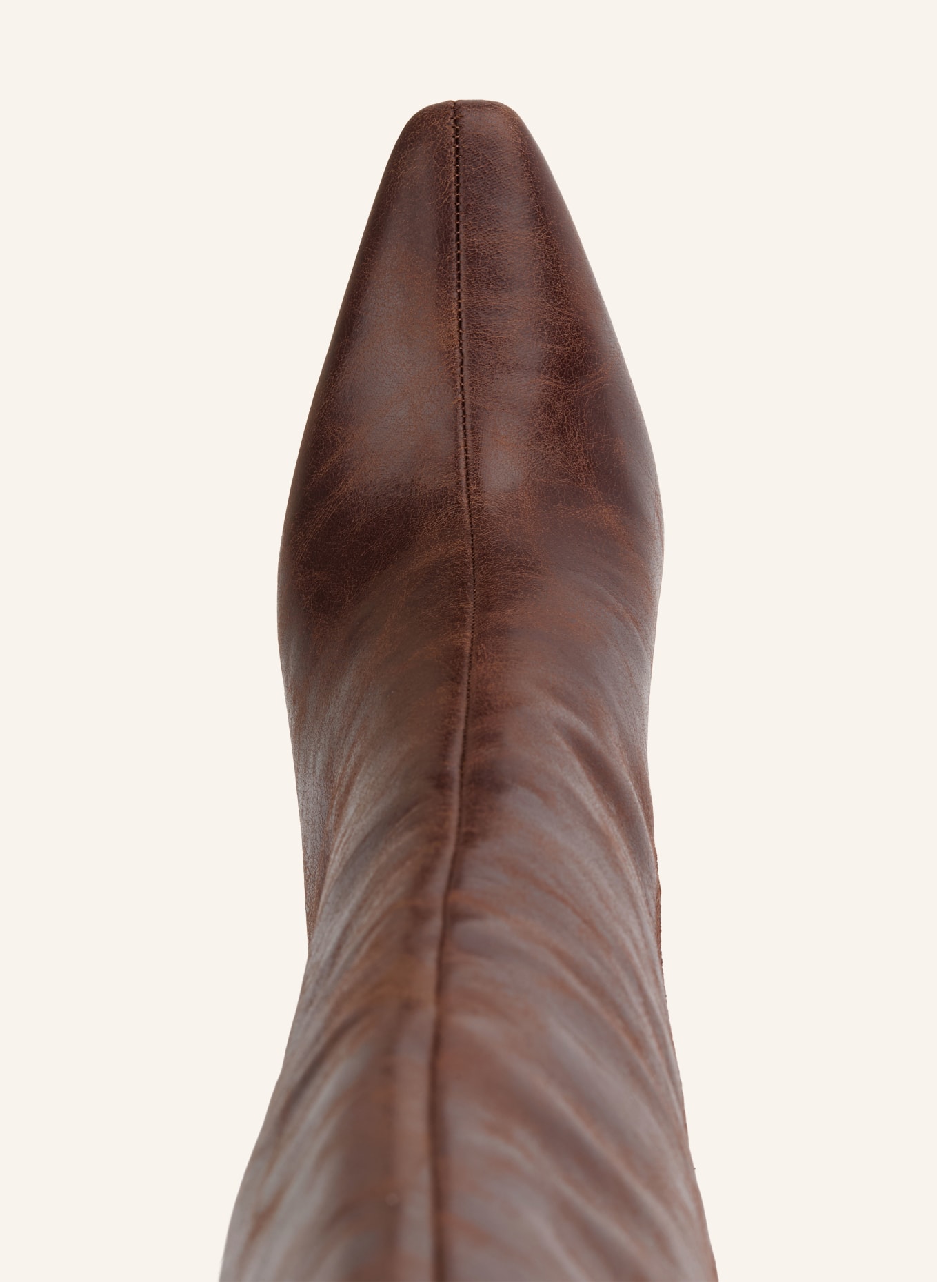 ALDO Stiefel ELYNE: BRAUN