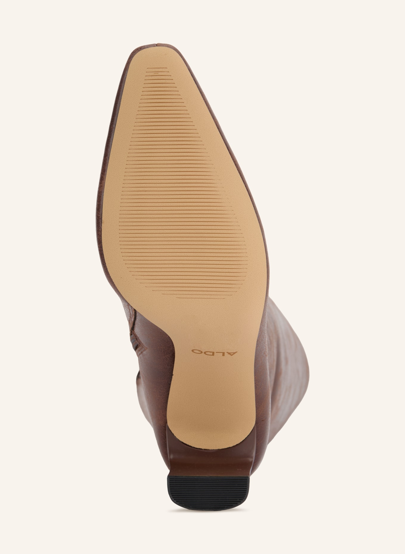 ALDO Stiefel ELYNE: BRAUN