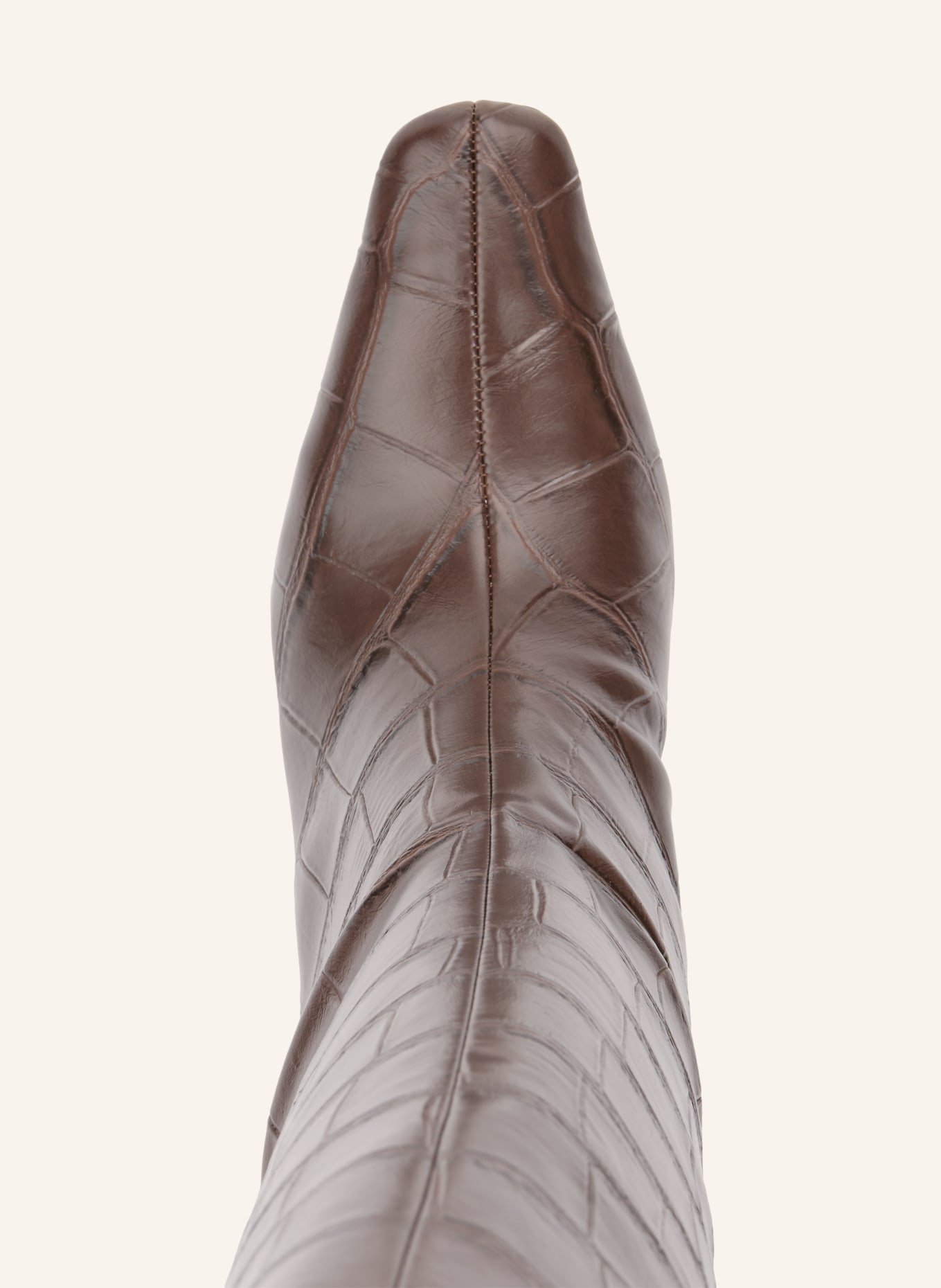 ALDO Bottes BETHIE: MARRON FONCÉ