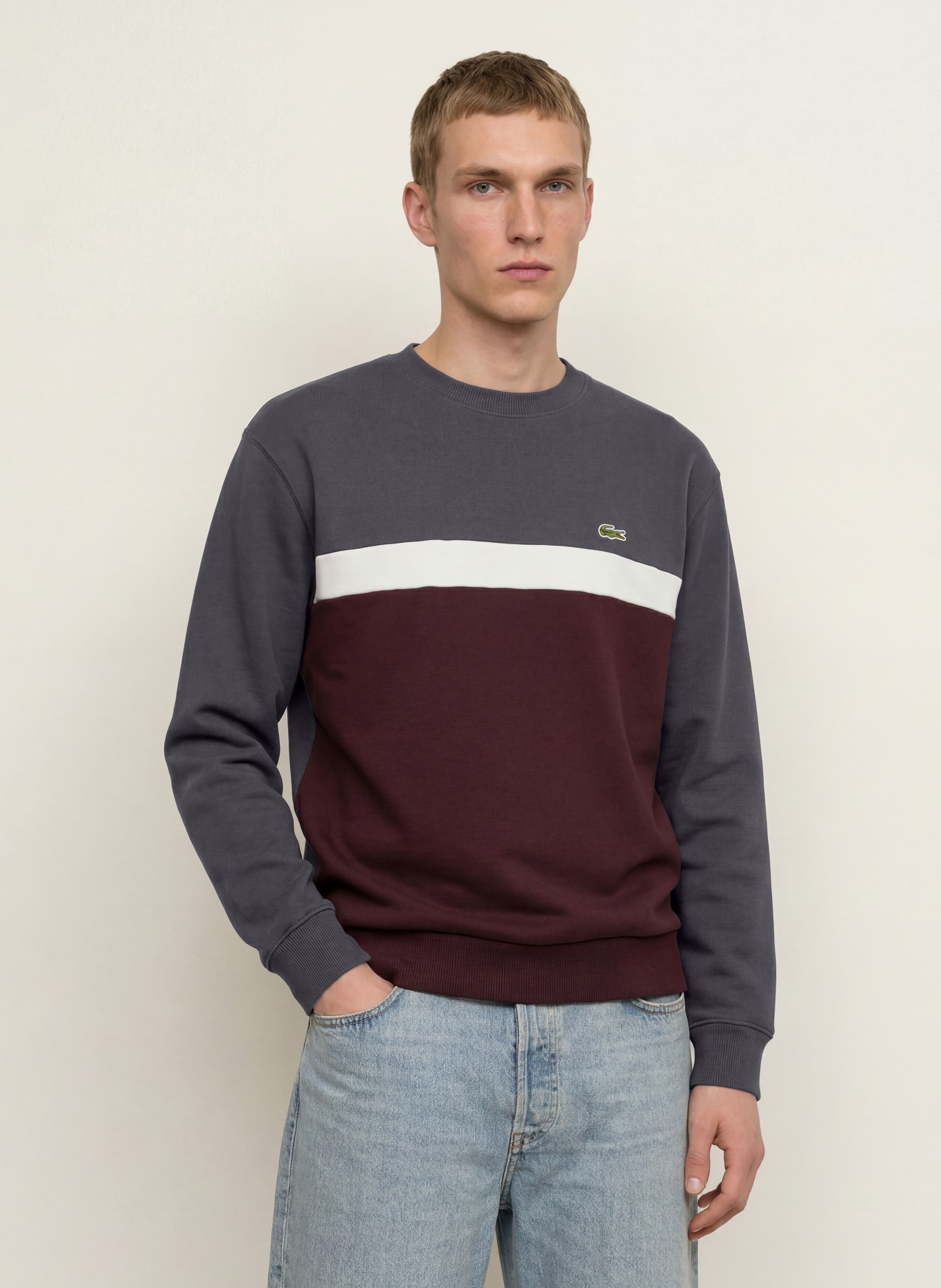 LACOSTE Sweatshirt: MØRKERØD / MØRKEGRÅ / HVID