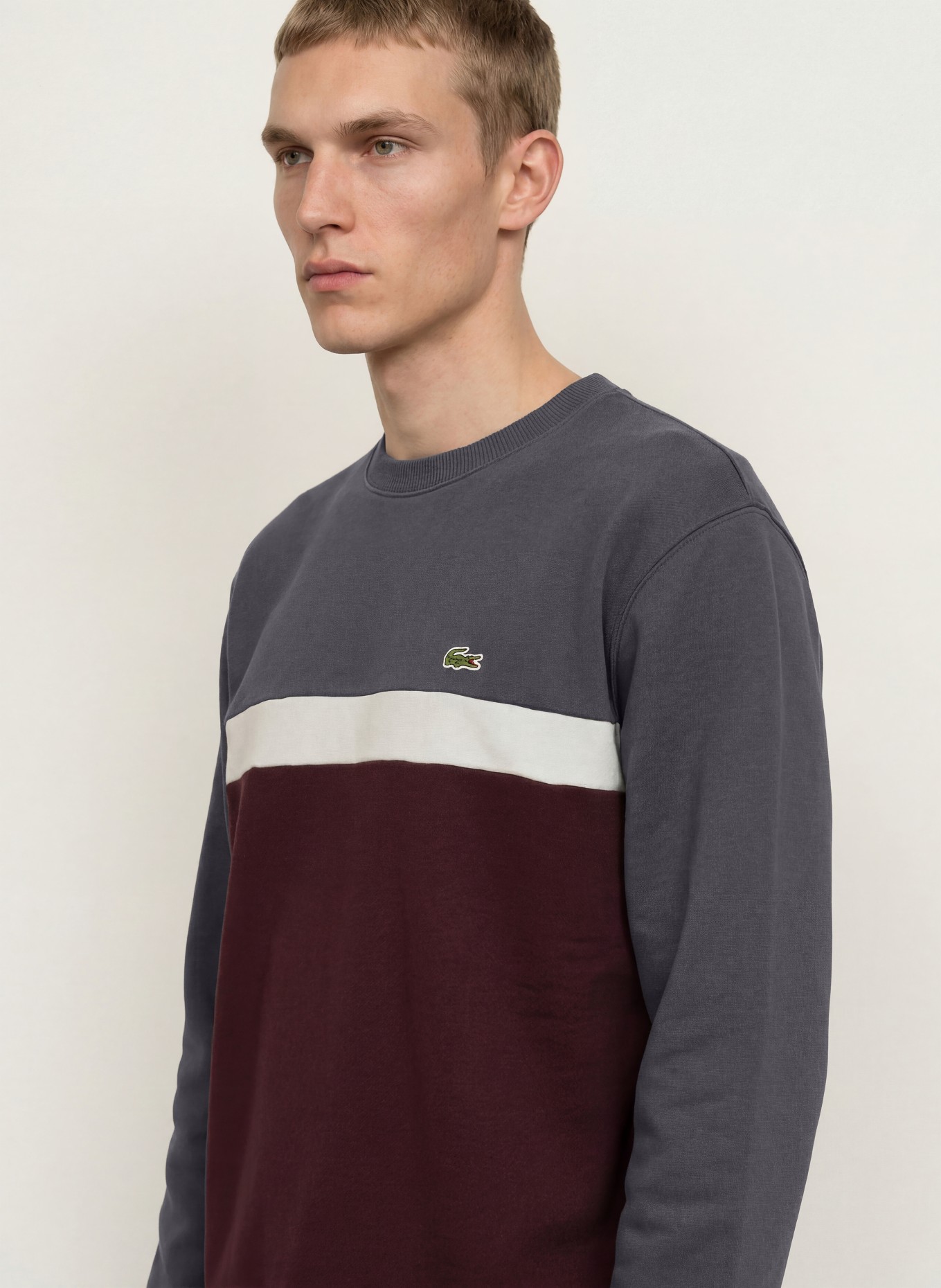 LACOSTE Sweatshirt: MØRKERØD / MØRKEGRÅ / HVID