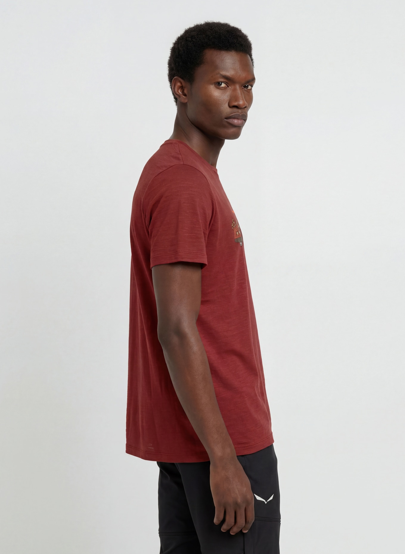 icebreaker Tricou MERINO 150 TECH LITE: ROȘU ÎNCHIS