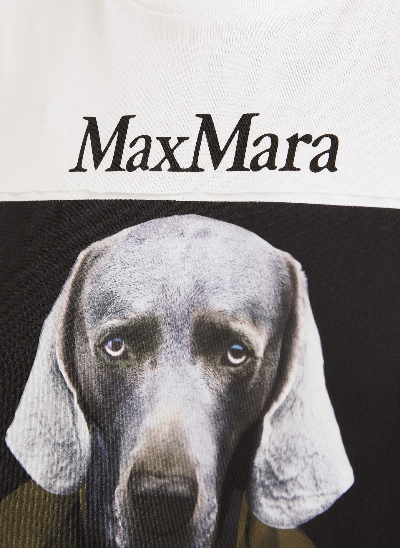 Max Mara CALCA T-shirt: WHITE / OLIVE / BLACK