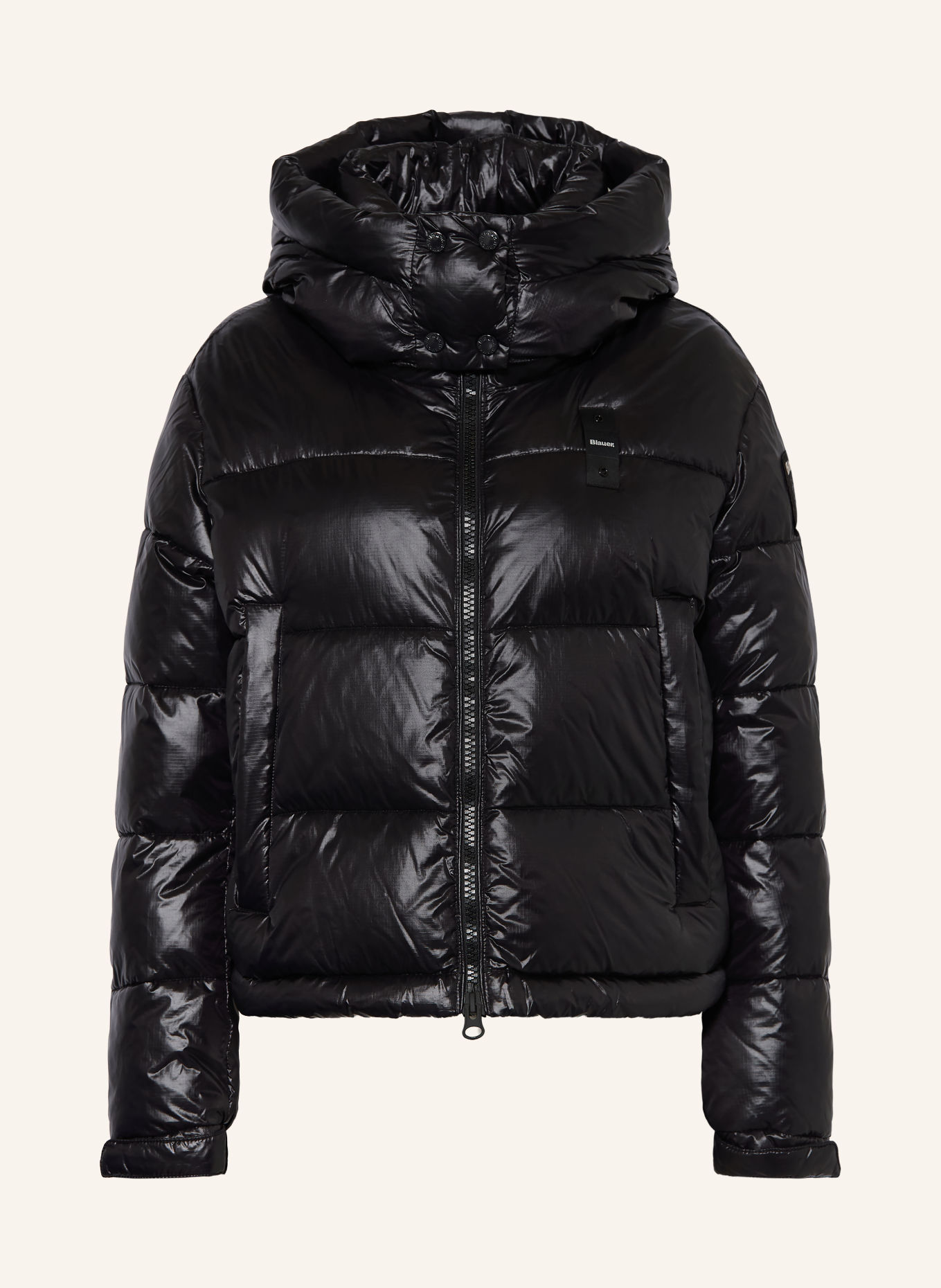 Blauer Steppjacke GLORIA mit abnehmbarer Kapuze: SCHWARZ