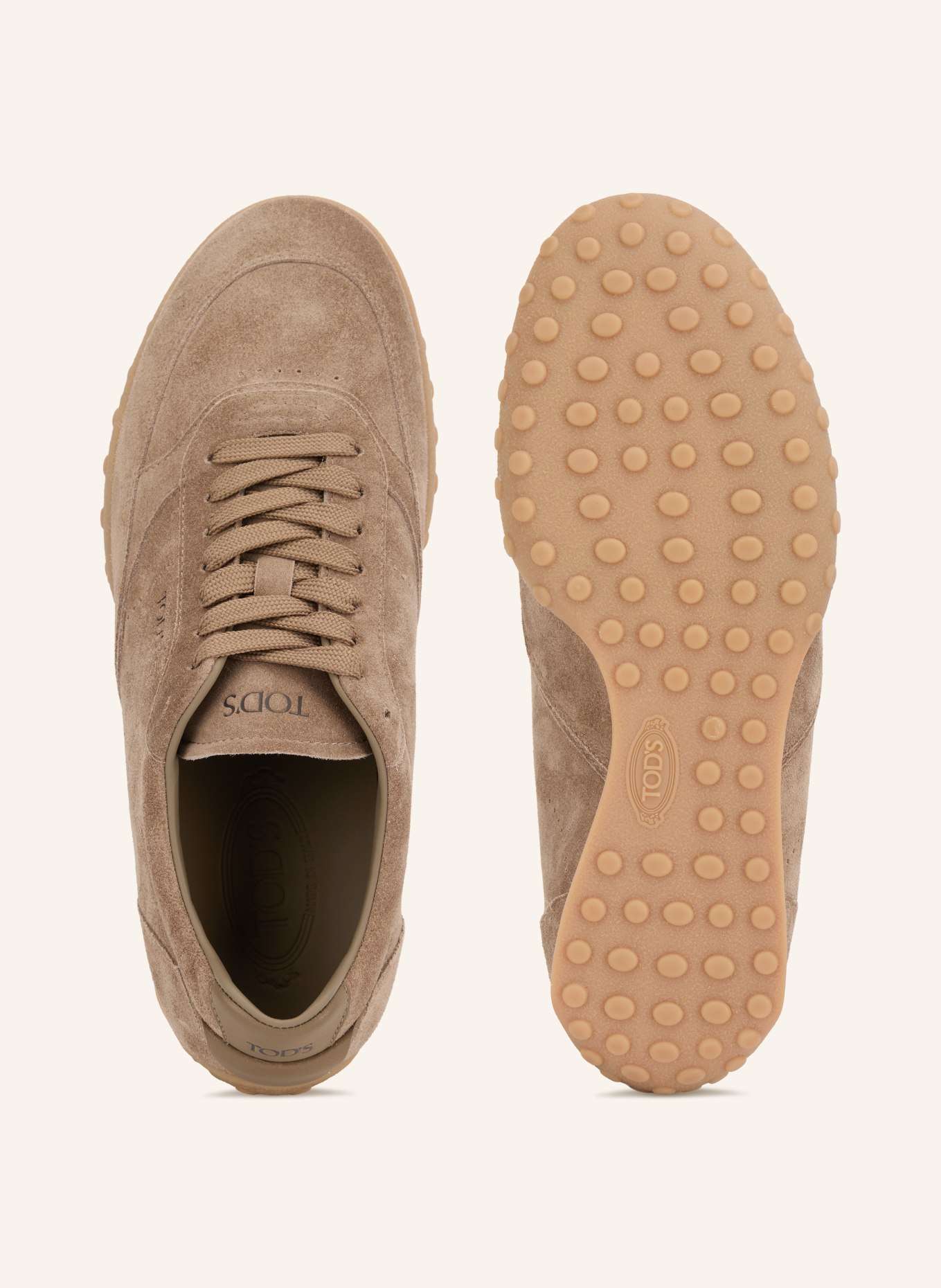TOD'S Sneakers: MARRON CLAIR