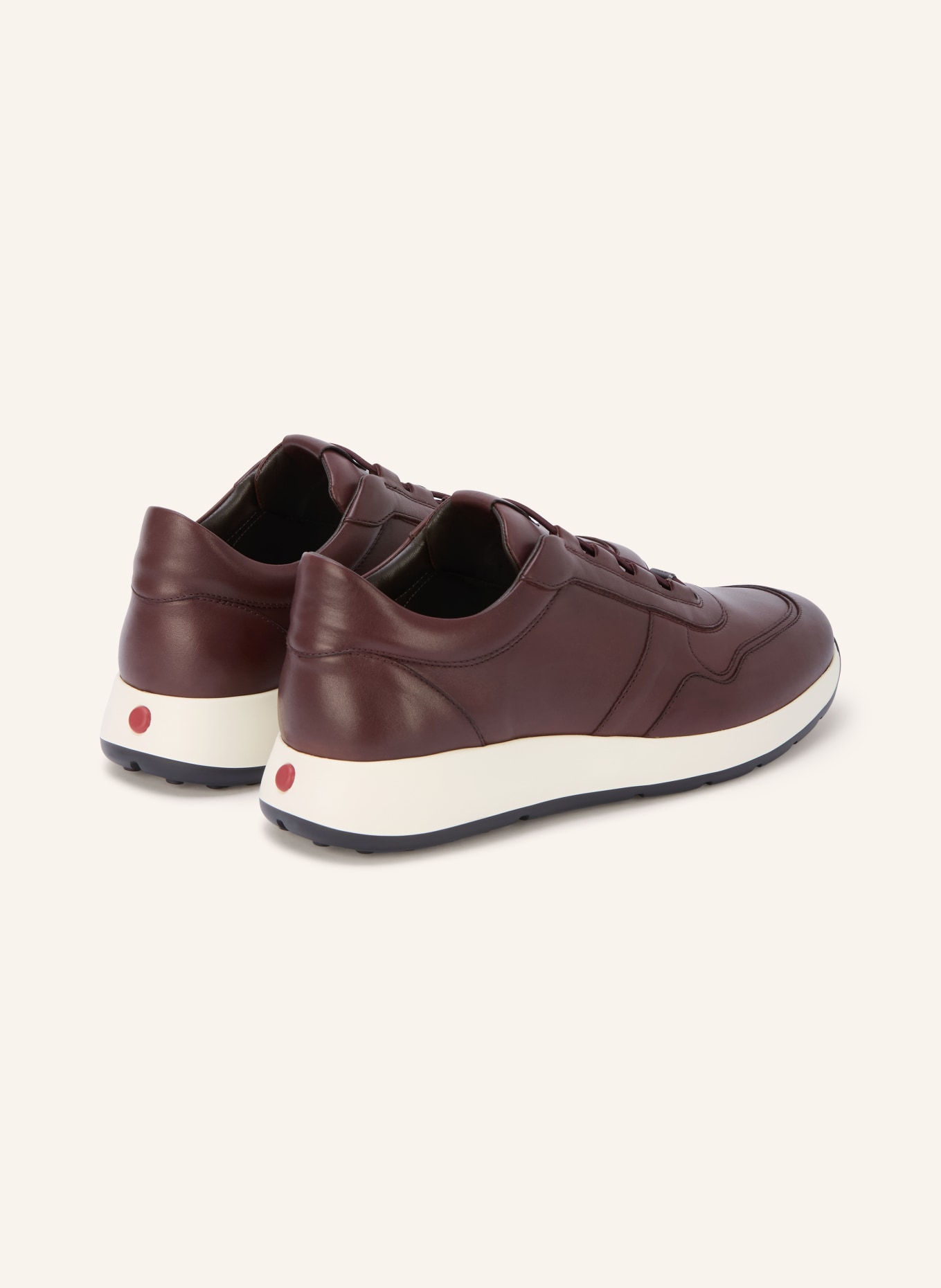 TOD'S Sneakers: MARRON FONCÉ