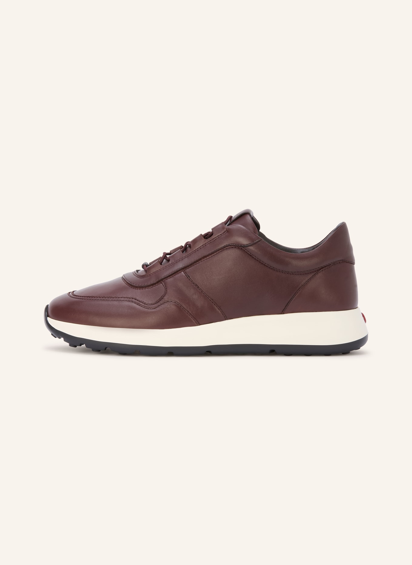 TOD'S Sneakers: MARRON FONCÉ