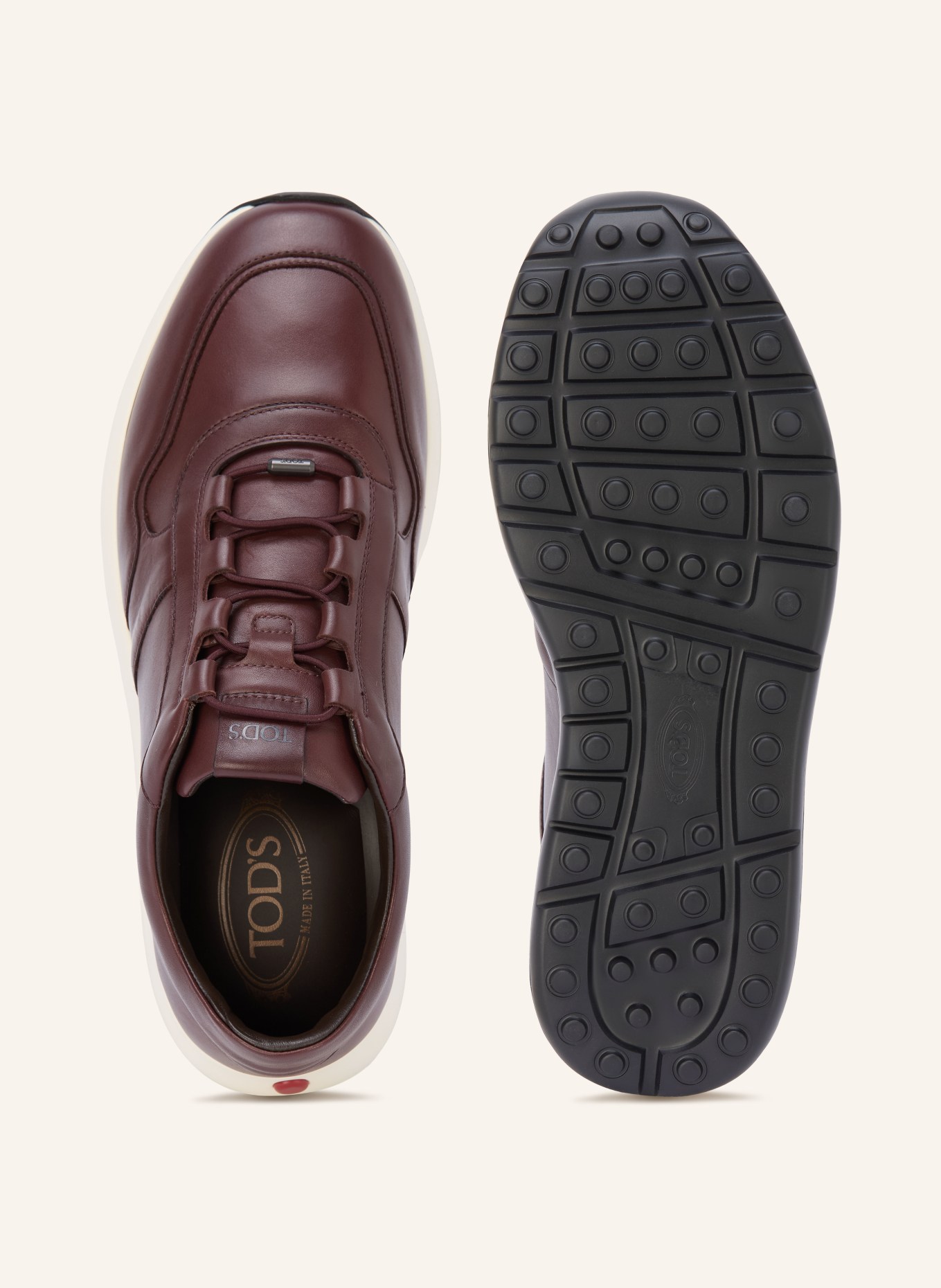 TOD'S Sneakers: MARRON FONCÉ