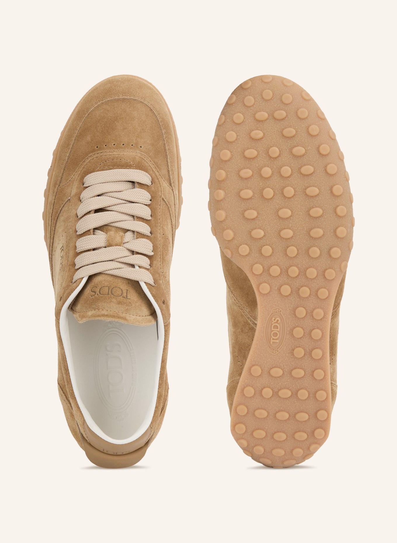 TOD'S SPORTIVA Sneakers: LIGHT BROWN