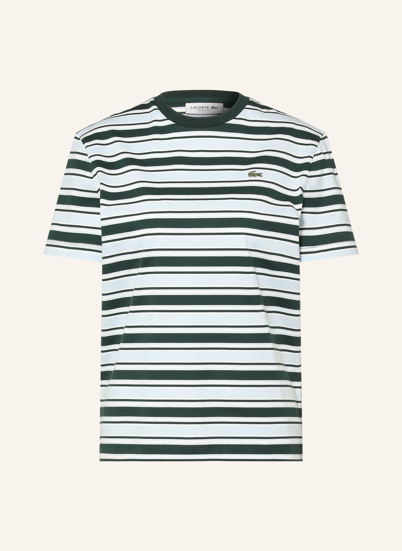 LACOSTE T-shirt: LIGHT BLUE / DARK GREEN / WHITE