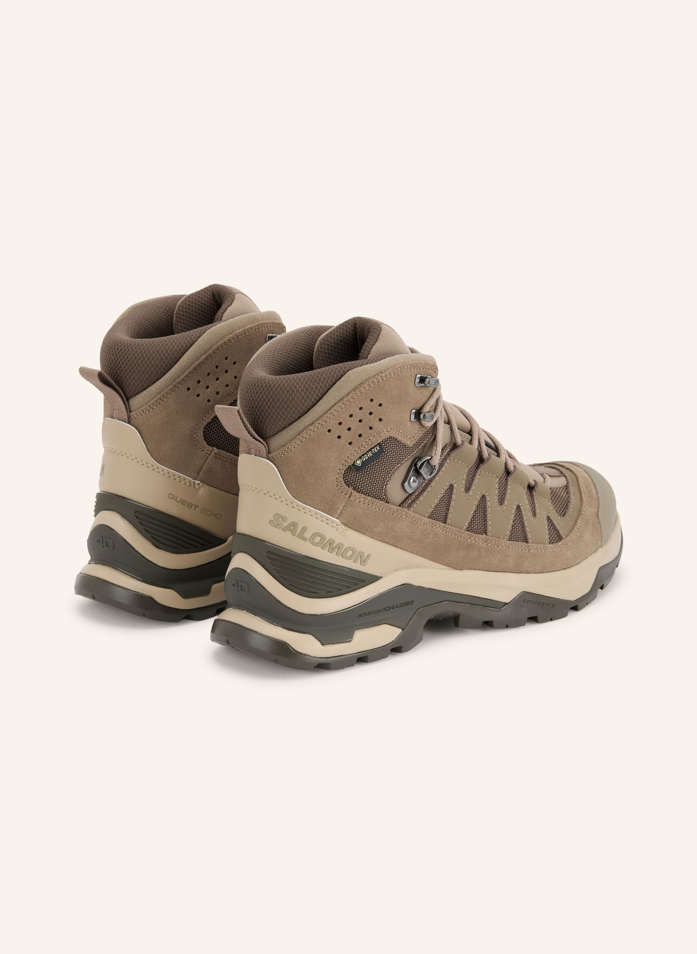 SALOMON Wandelschoenen QUEST ECHO GTX: TAUPE / MARRON FONCÉ