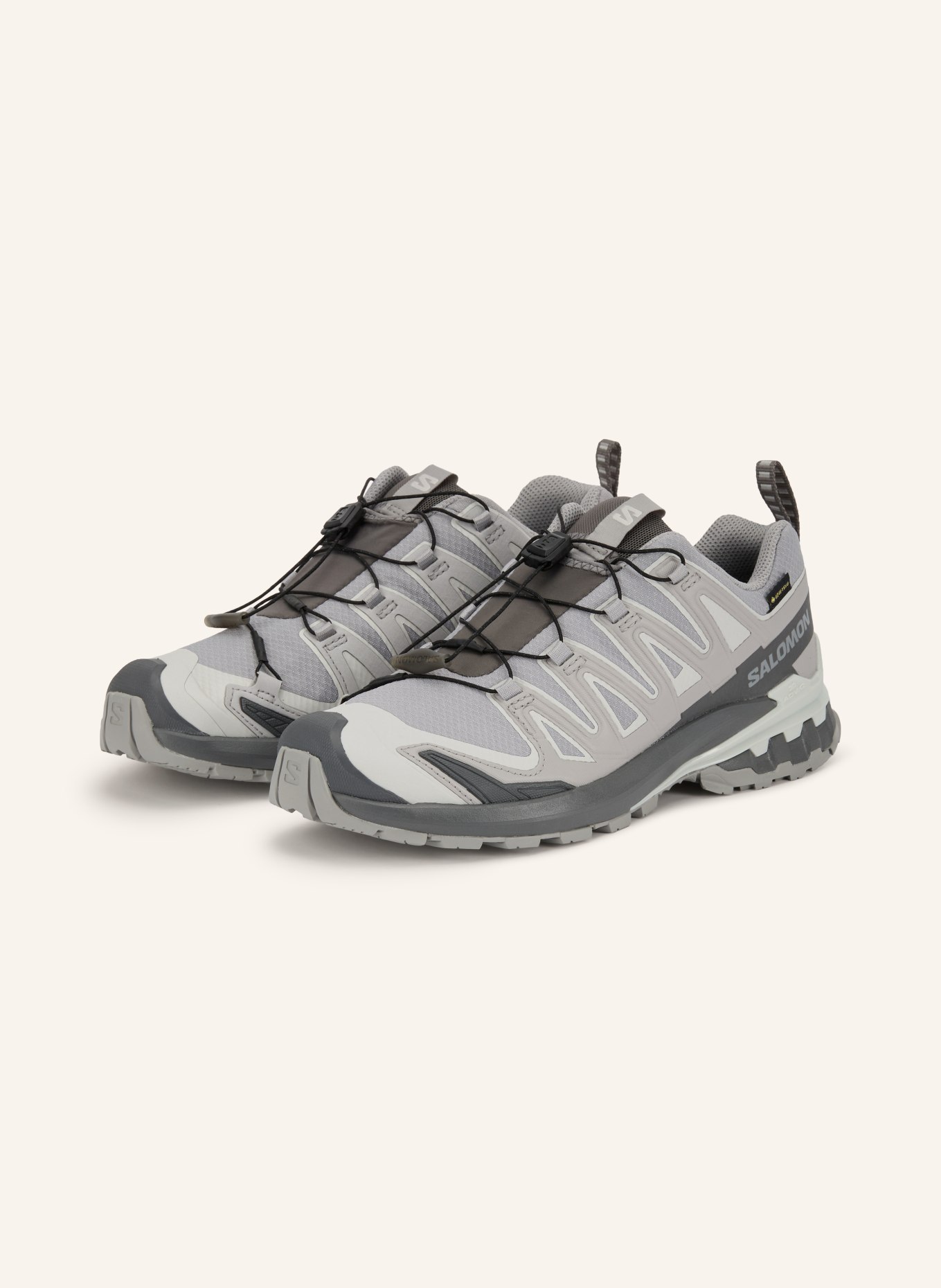 SALOMON Trailrunning-sko XA PRO 3D V9 GTX: LYSEGRÅ / MØRKEGRÅ