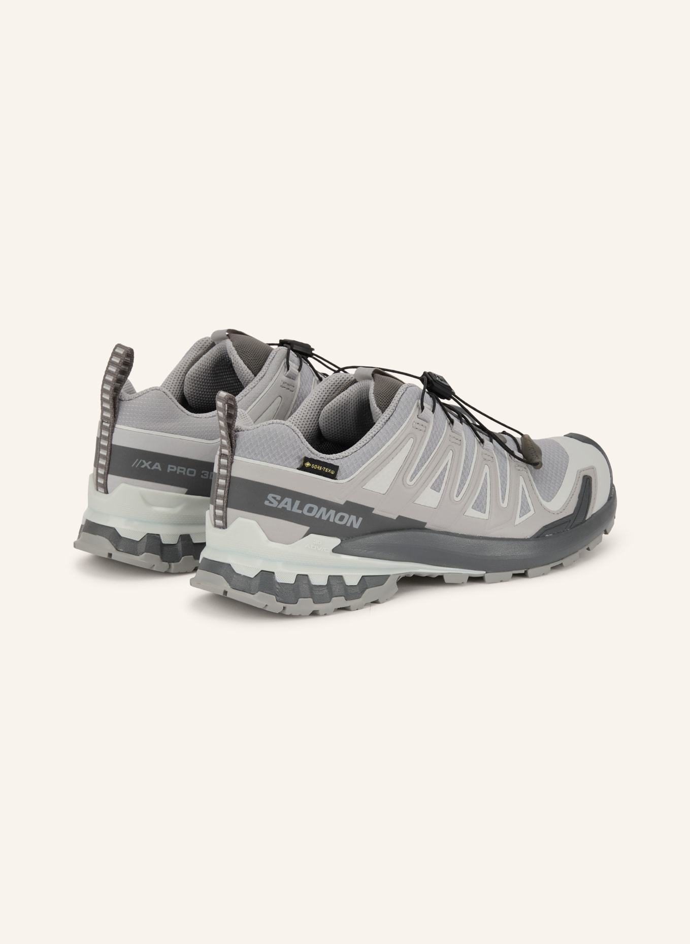 SALOMON Trailrunning-sko XA PRO 3D V9 GTX: LYSEGRÅ / MØRKEGRÅ