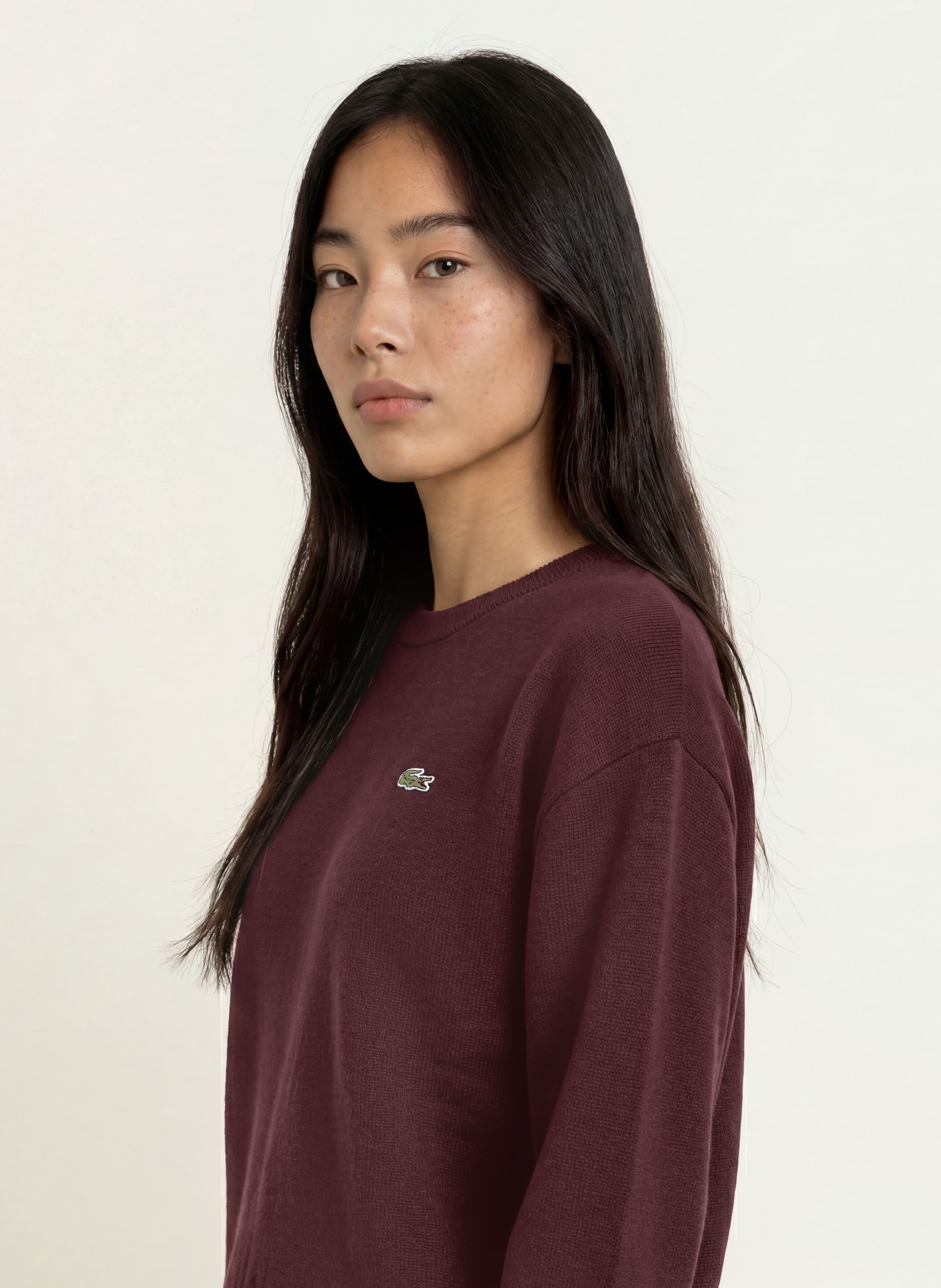 LACOSTE Pullover: DUNKELBRAUN
