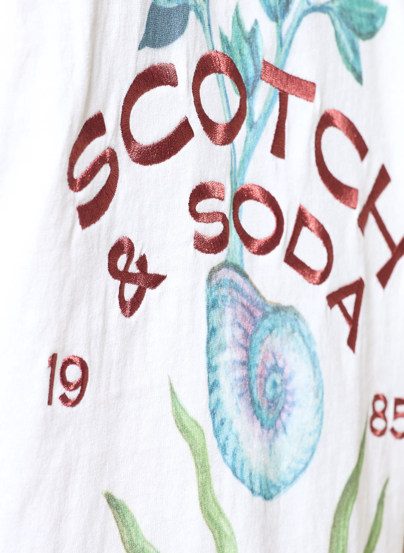 SCOTCH & SODA T-shirt: BLANC / ROUGE / VERT