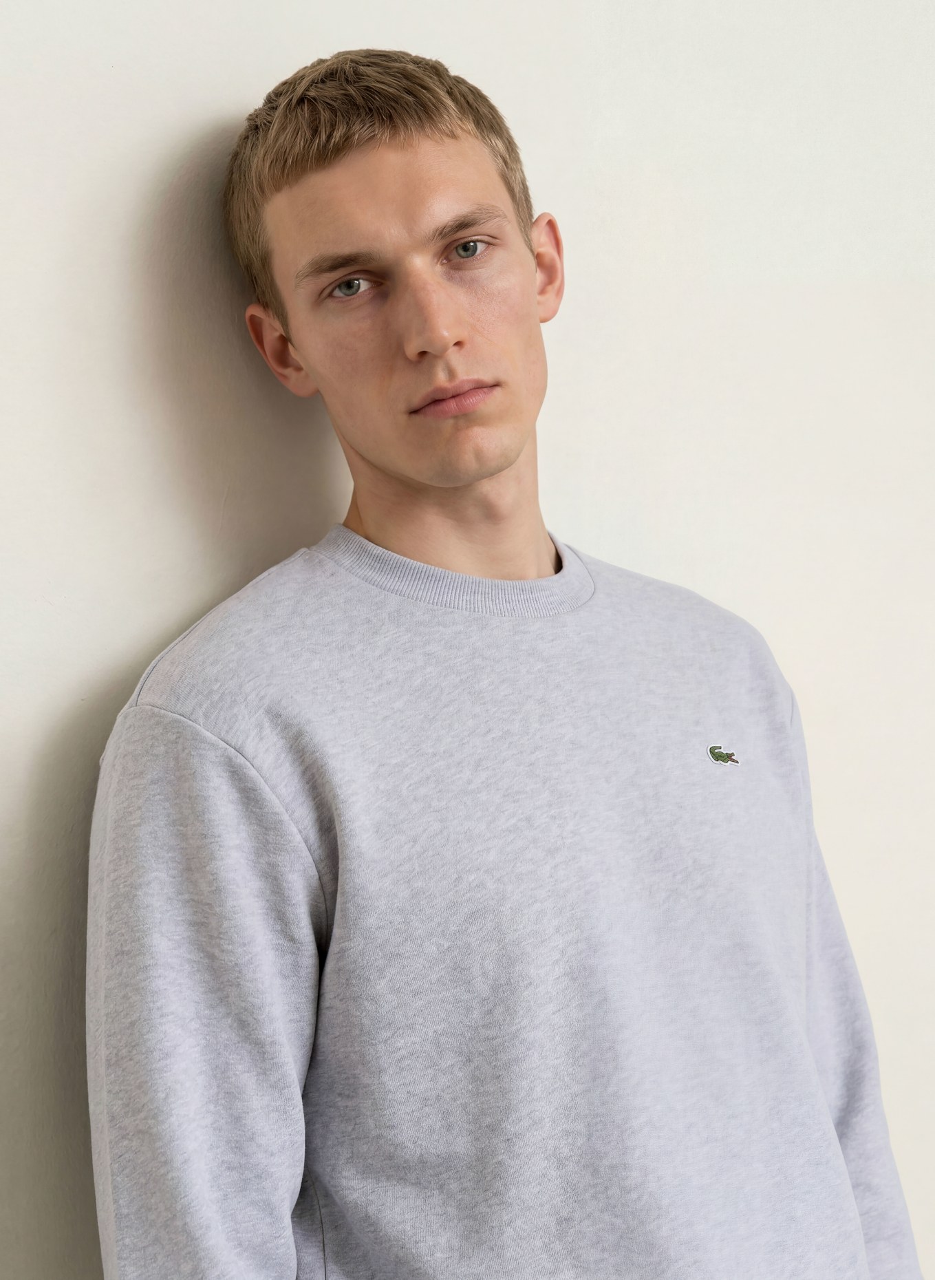 LACOSTE Sweatshirt: GRAY