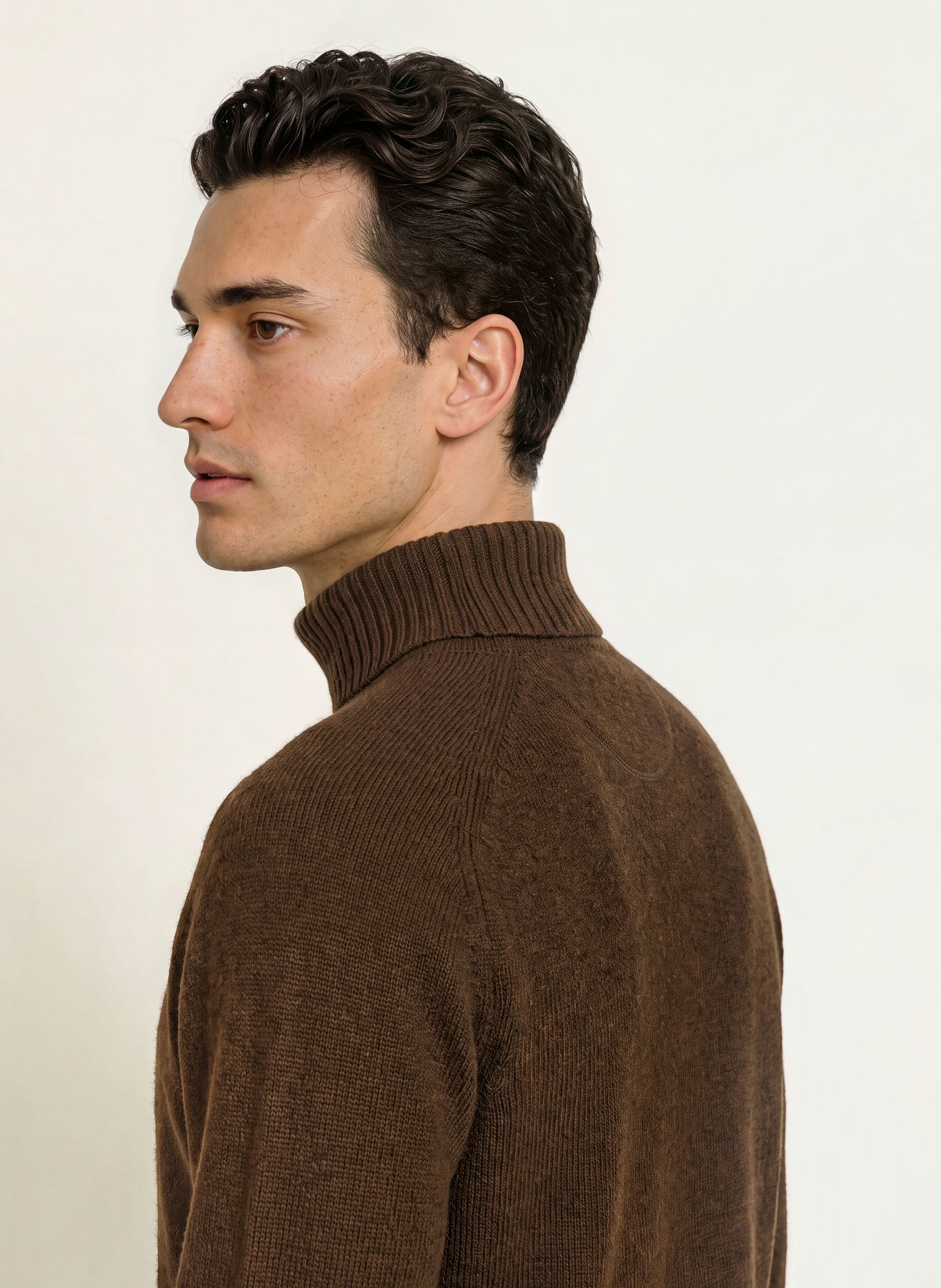 FYNCH-HATTON Rollkragenpullover: DUNKELBRAUN