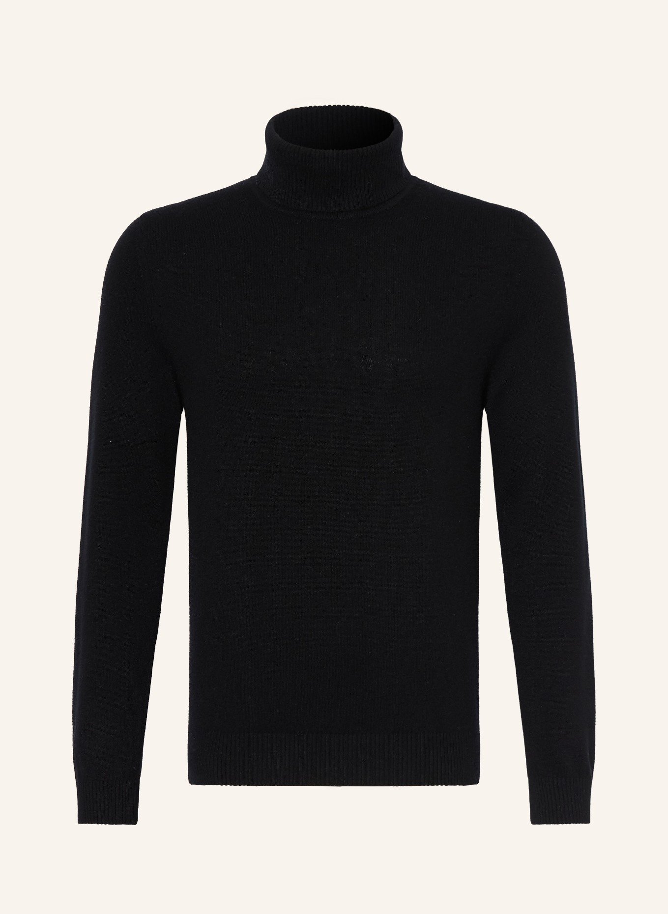 DANIELE FIESOLI Rollkragenpullover aus Cashmere: SCHWARZ