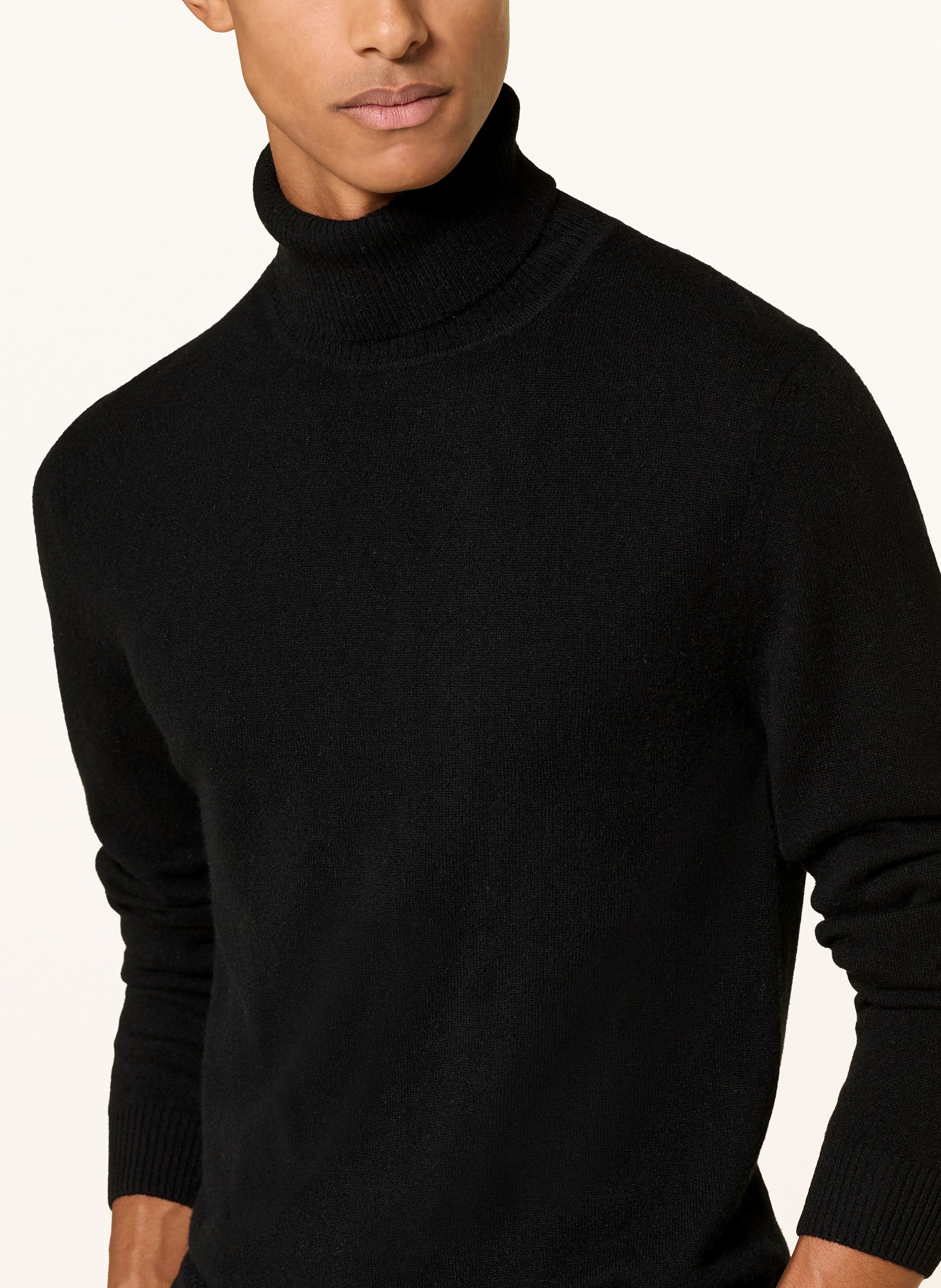 DANIELE FIESOLI Rollkragenpullover aus Cashmere: SCHWARZ