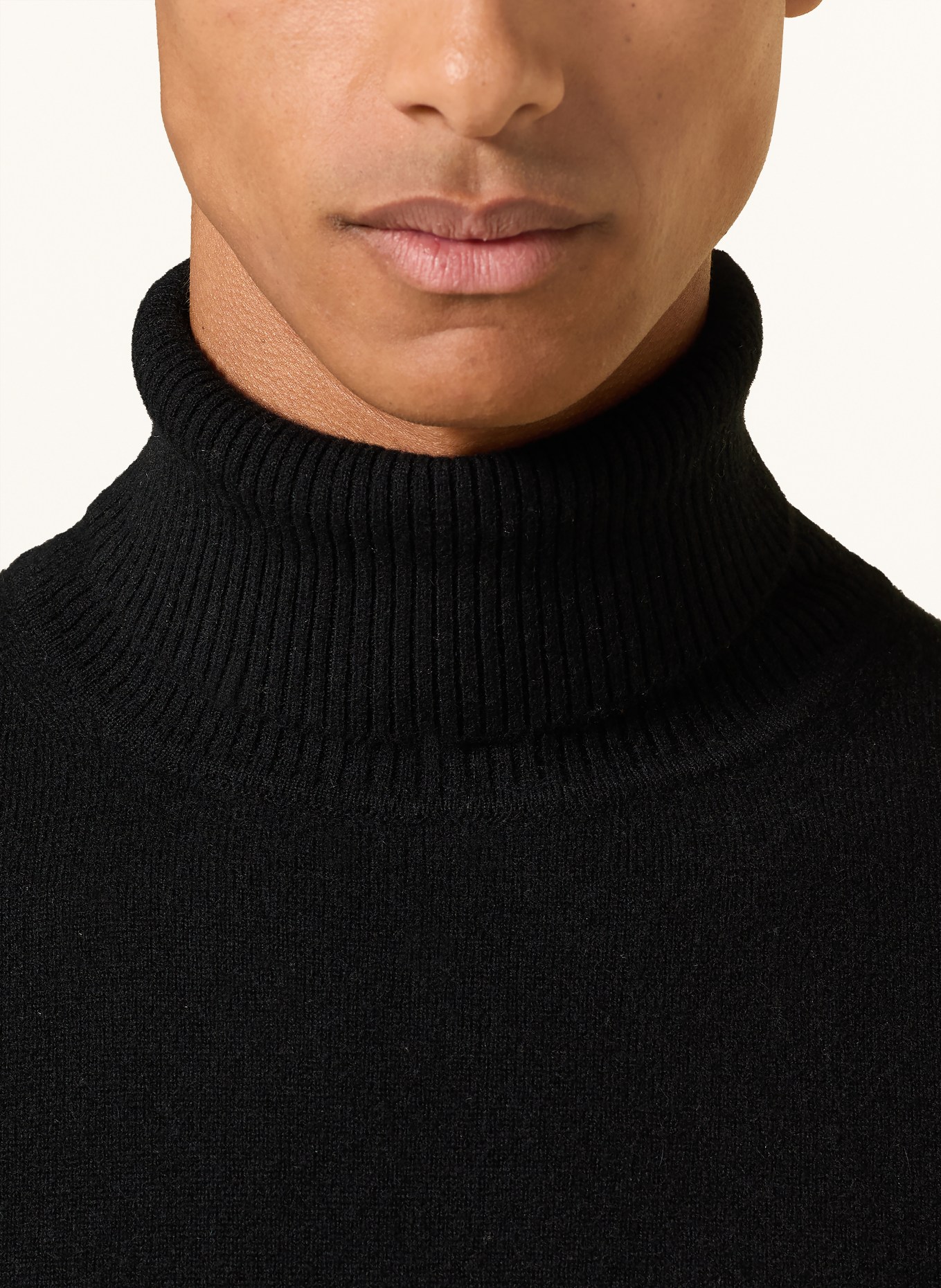 DANIELE FIESOLI Rollkragenpullover aus Cashmere: SCHWARZ